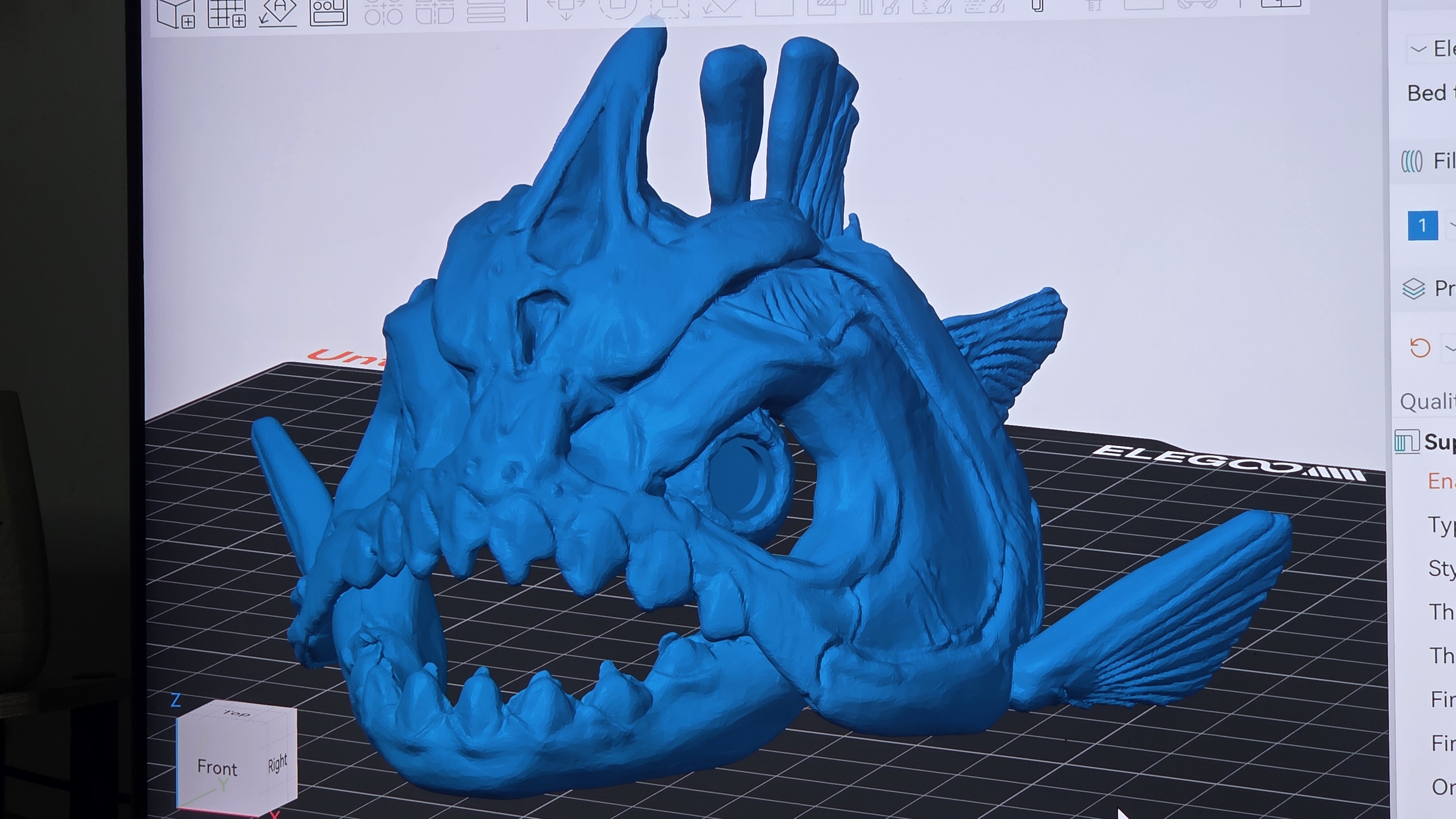 Fish skeleton - 8mm glass eye compatible