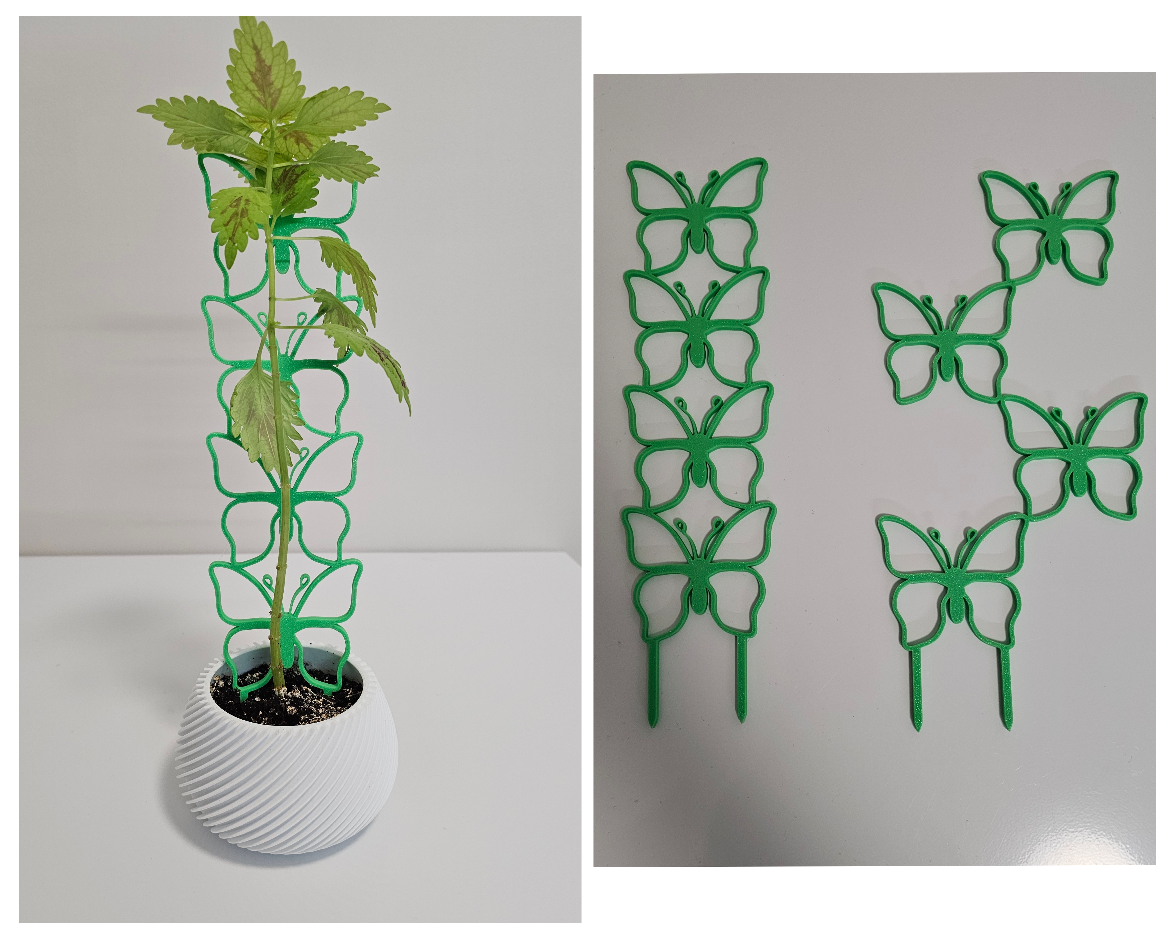Support for plants. Plant Trellis. Butterfly.