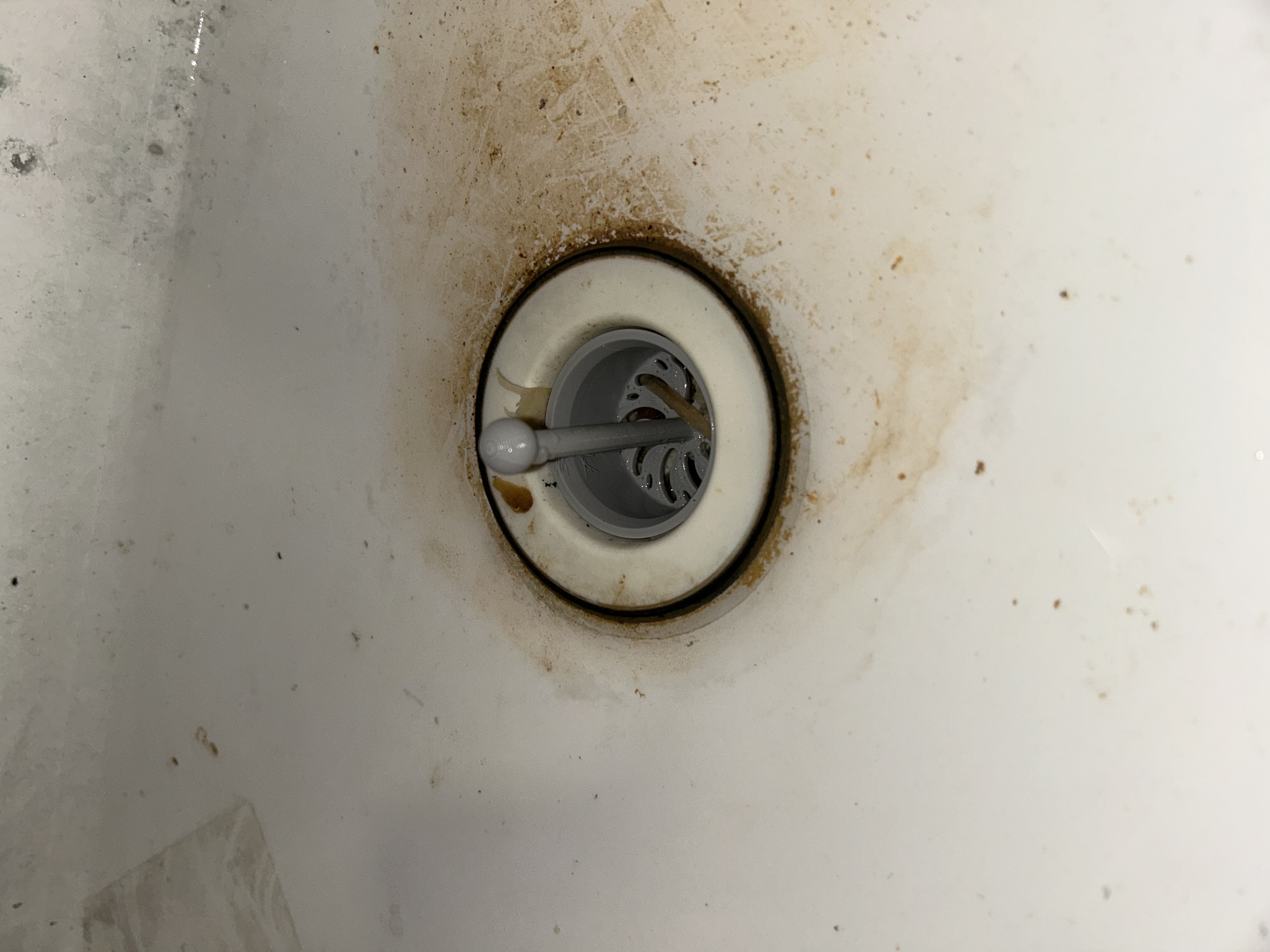 Basket Strainer for Fiat FL-1 Laundry Sink