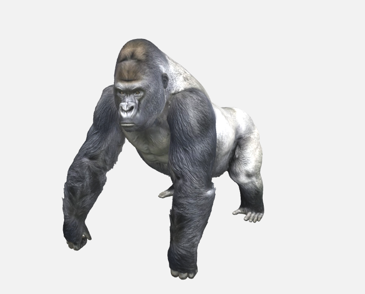 Mountain Gorilla — miniatura 2
