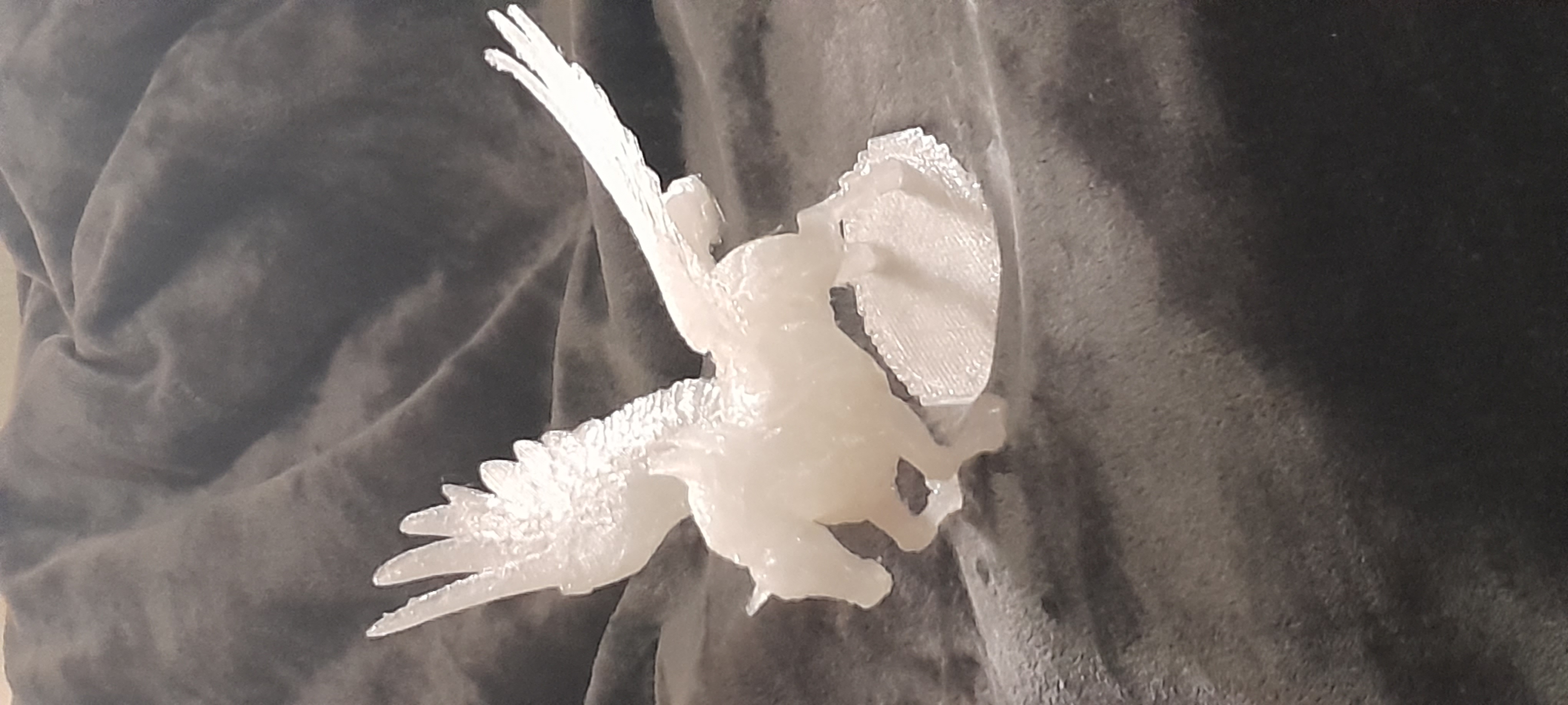 Pegasus Winged