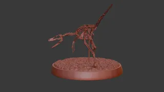 Fossil - Velociraptor