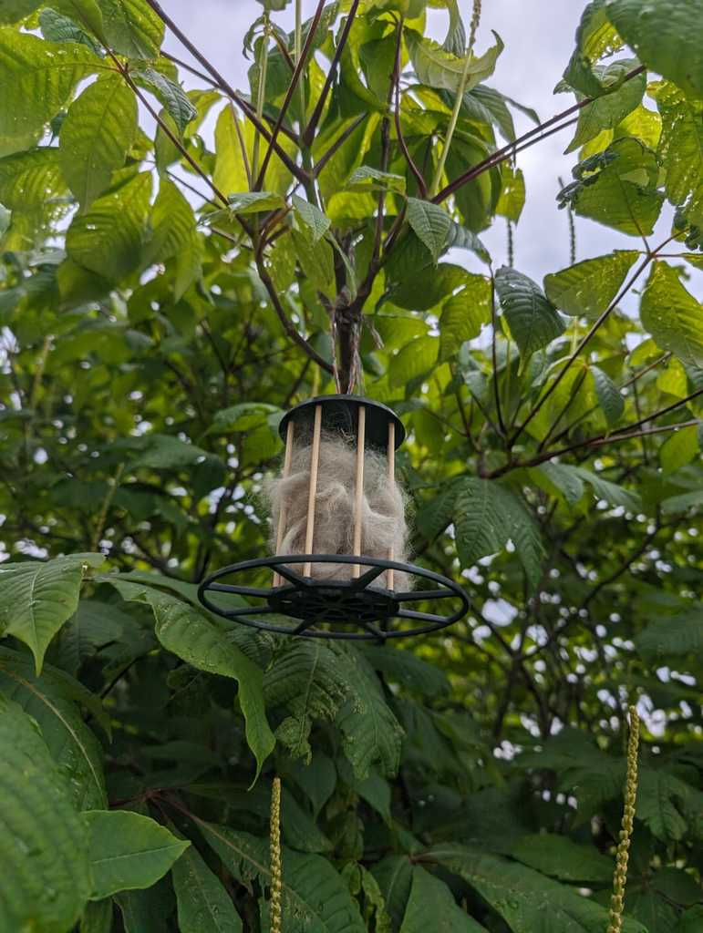 Bird Nesting Helper