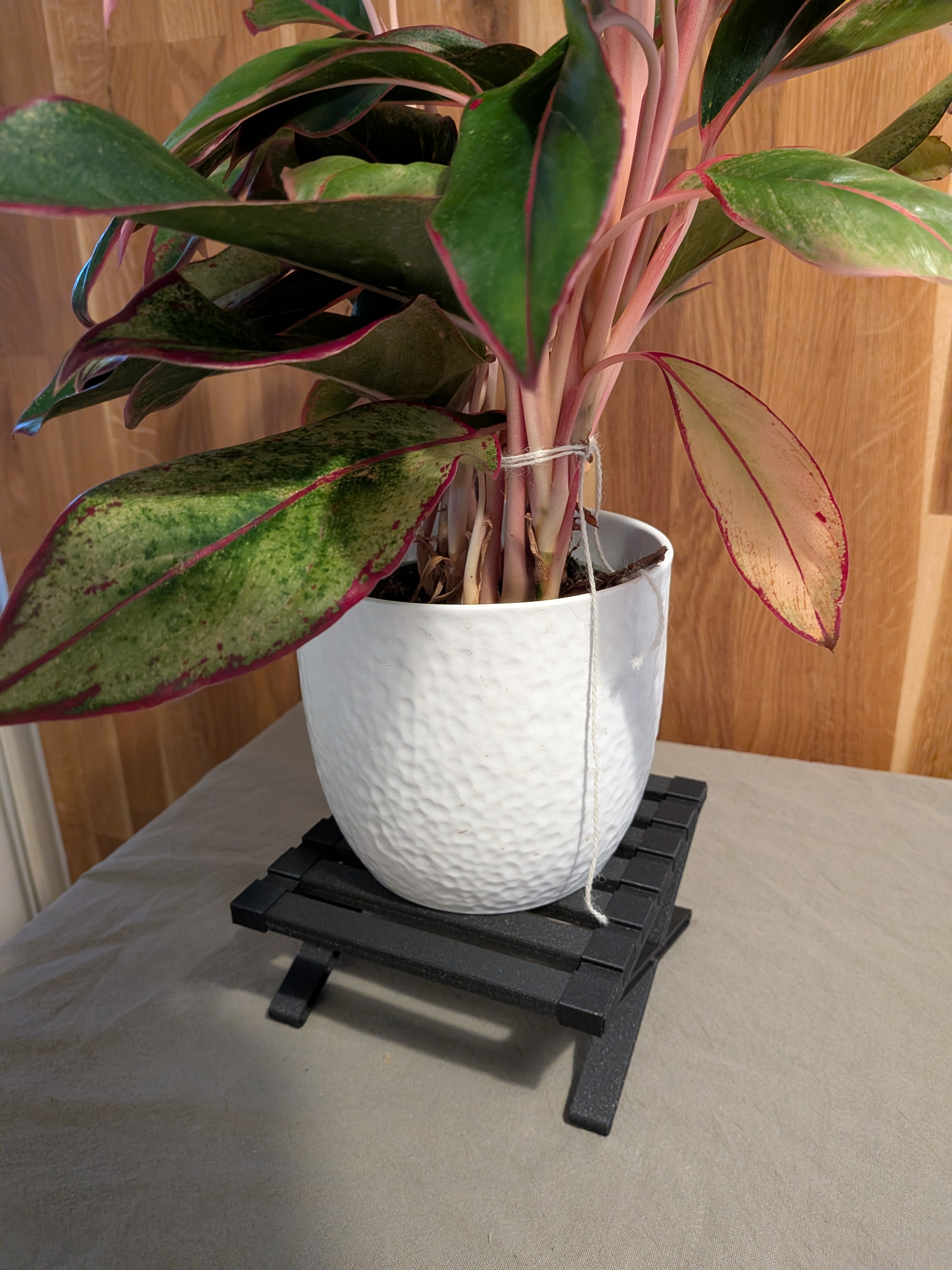 Bookshelf riser — thumbnail 5