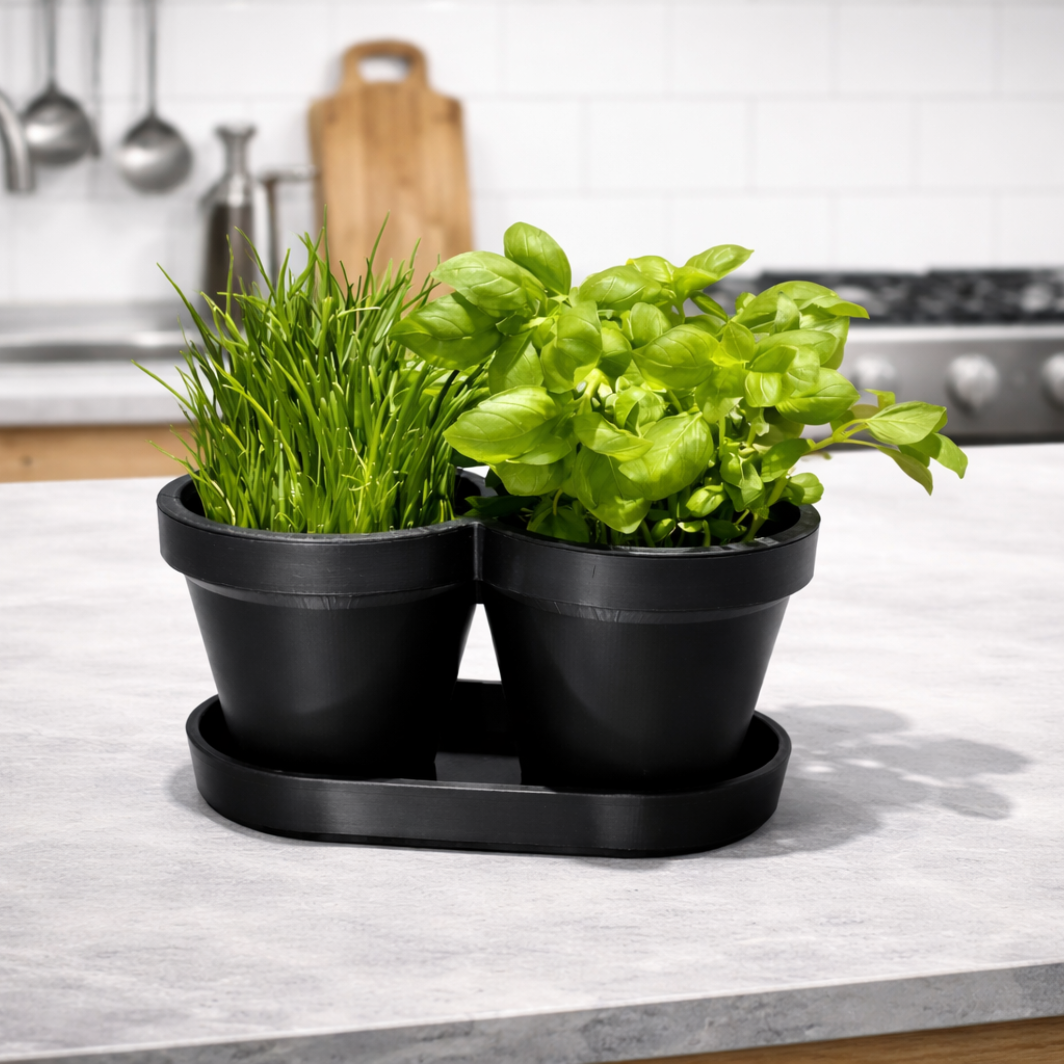 HERBS PLANTER POT / BASIL / CHIVES / KITCHEN GADGETS / ORGANIZER / HOMEDECOR / TOOLS