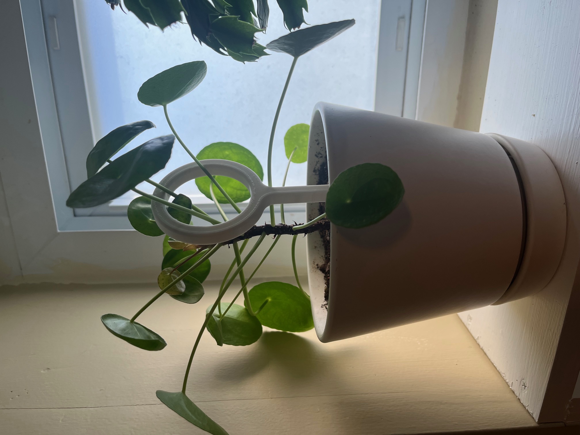 Plant Stake