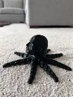 Rocktopus