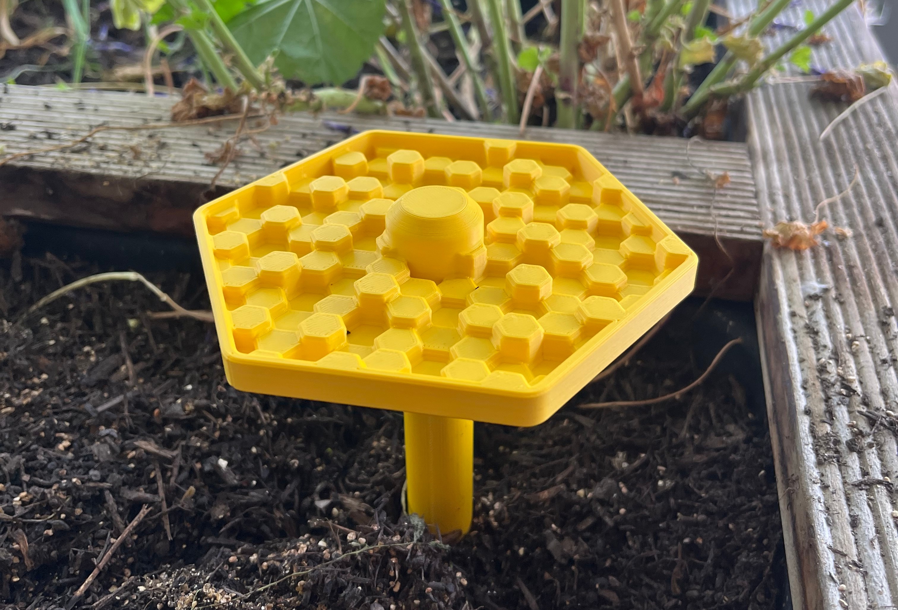 Bee Feeder / Waterer