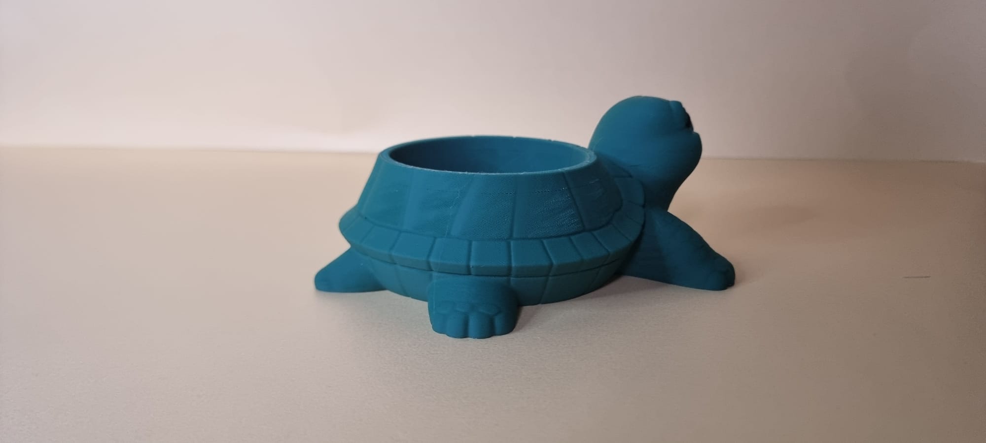 Miniatura 2 do modelo 3D Multifunctional Turtle planter multicolor
