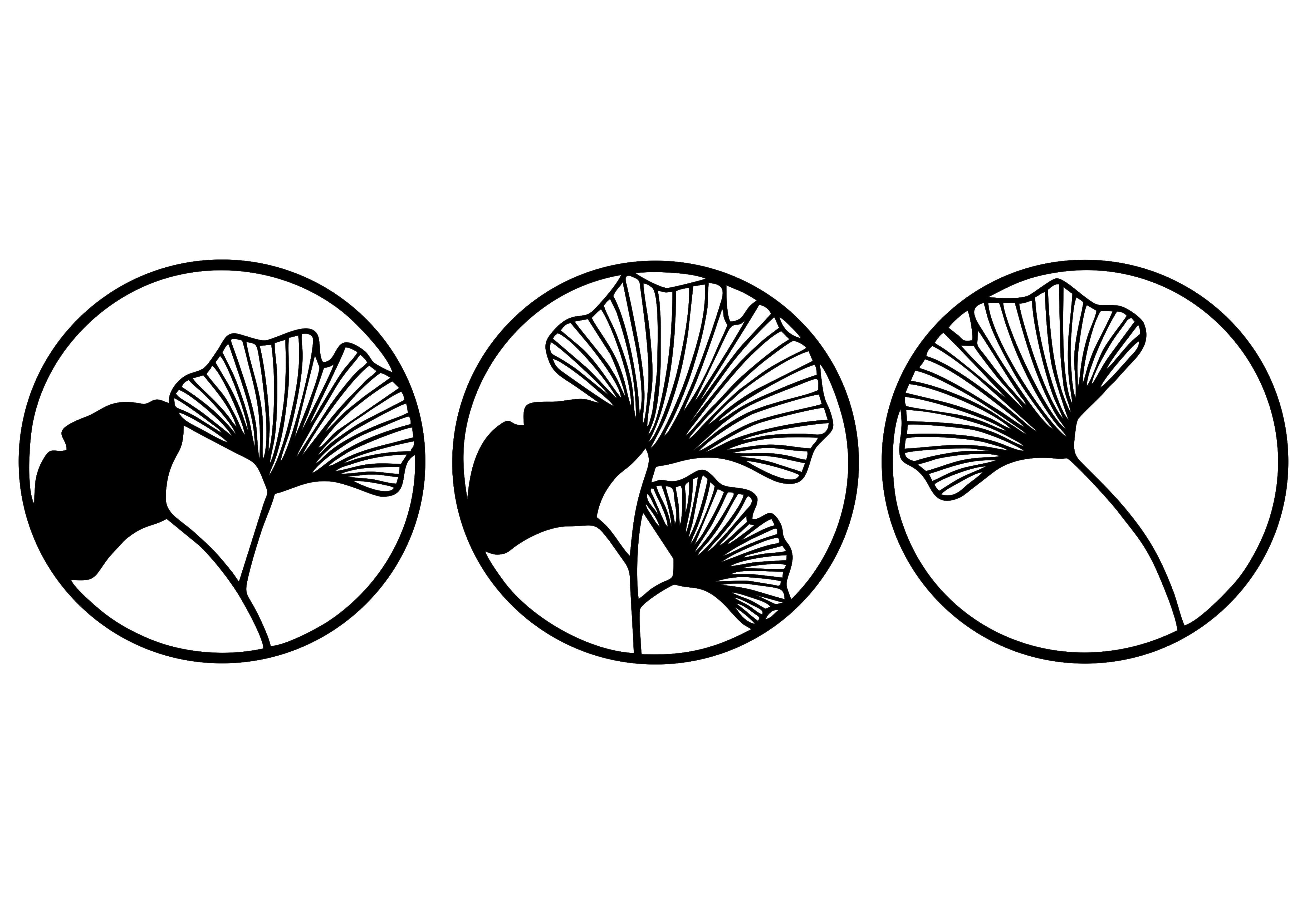 biloba tree leaf wall art set of 3pcs scalable