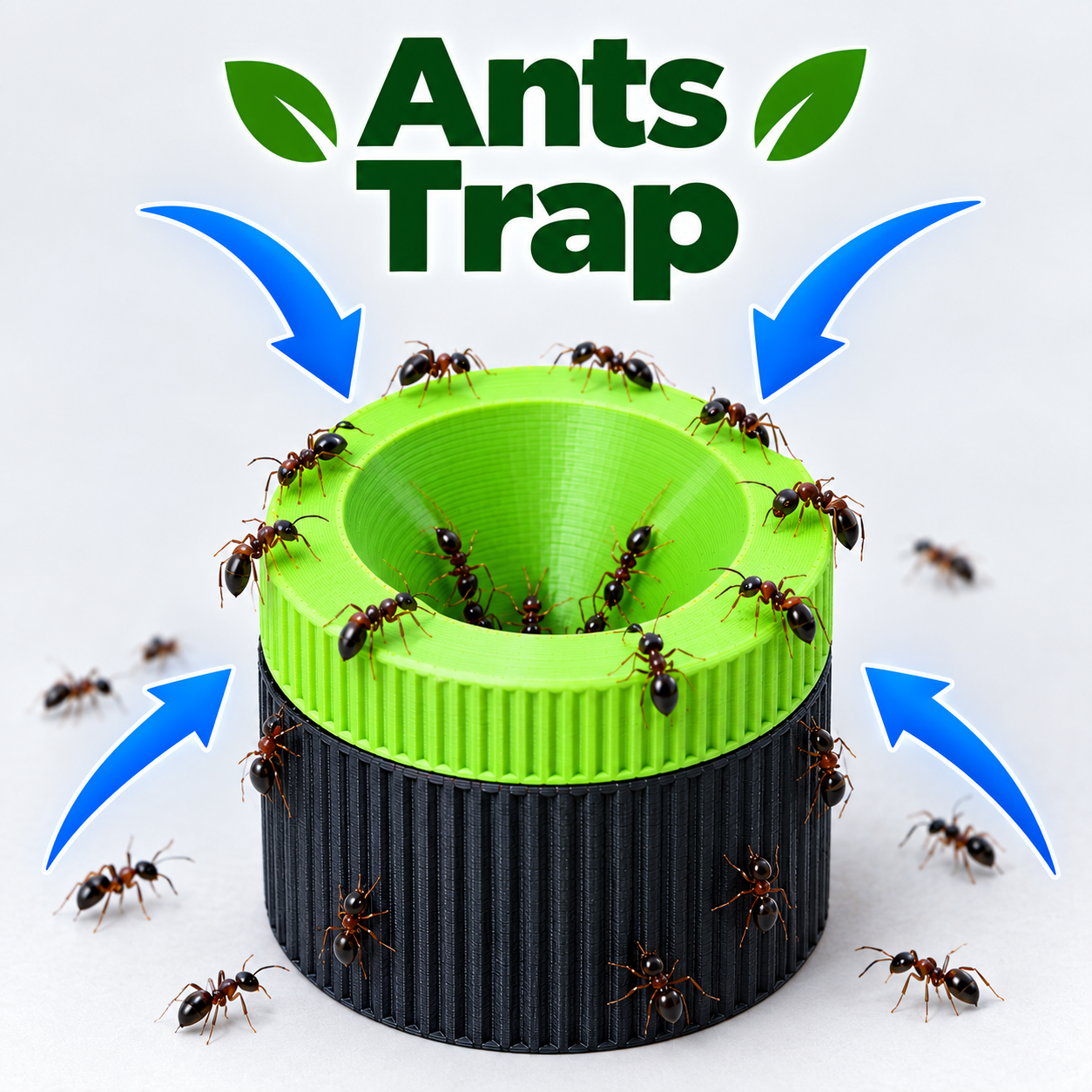 Ant trap.