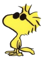 Woodstock (Cool Version) from Mr Peanuts Wall Art