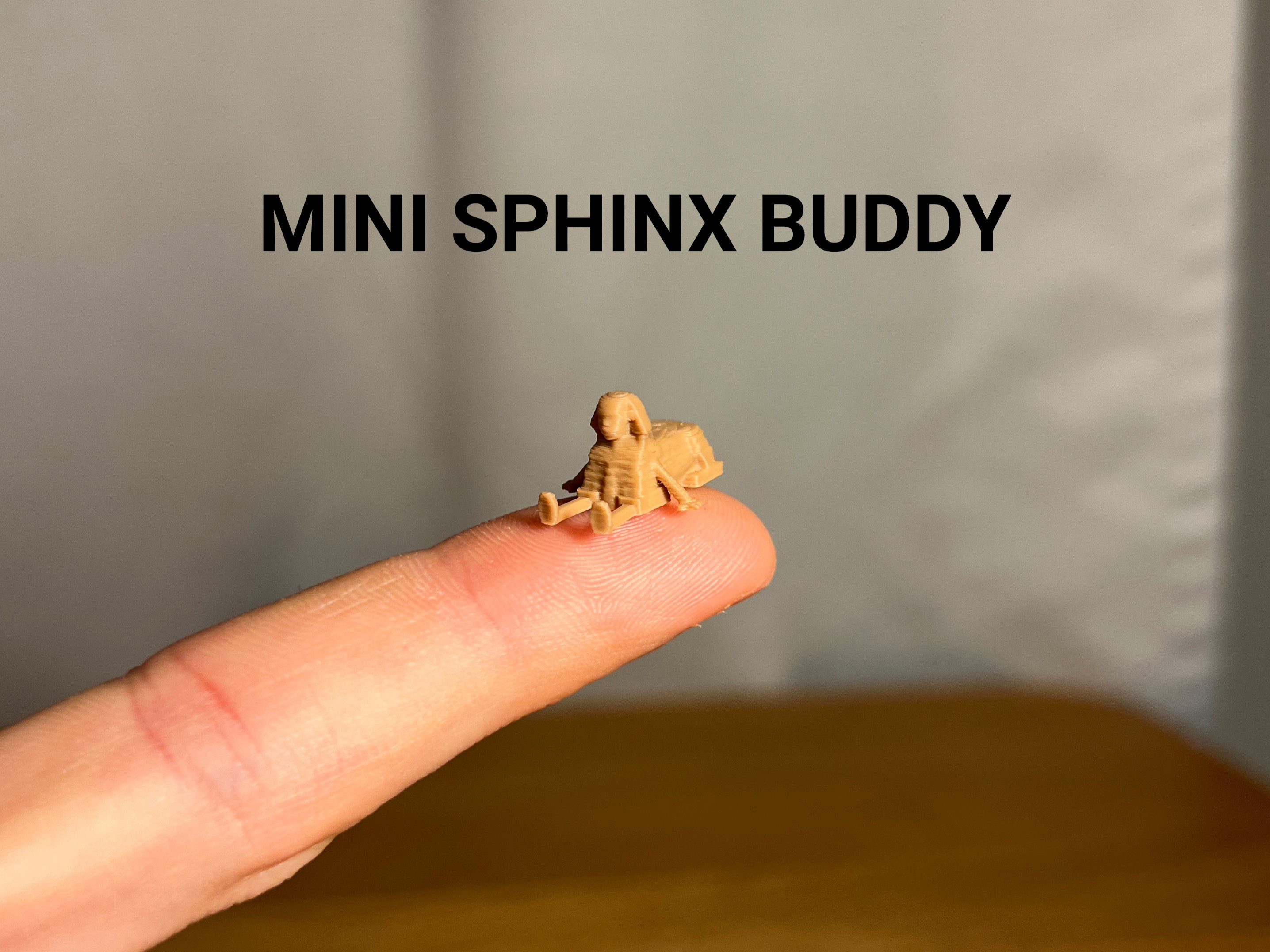 Mini Sphinx Buddy