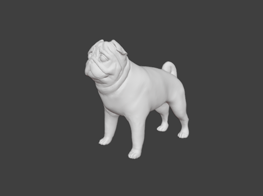 Grumpy pug
