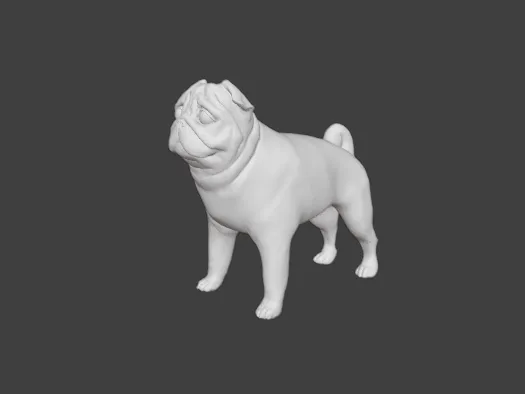Grumpy pug