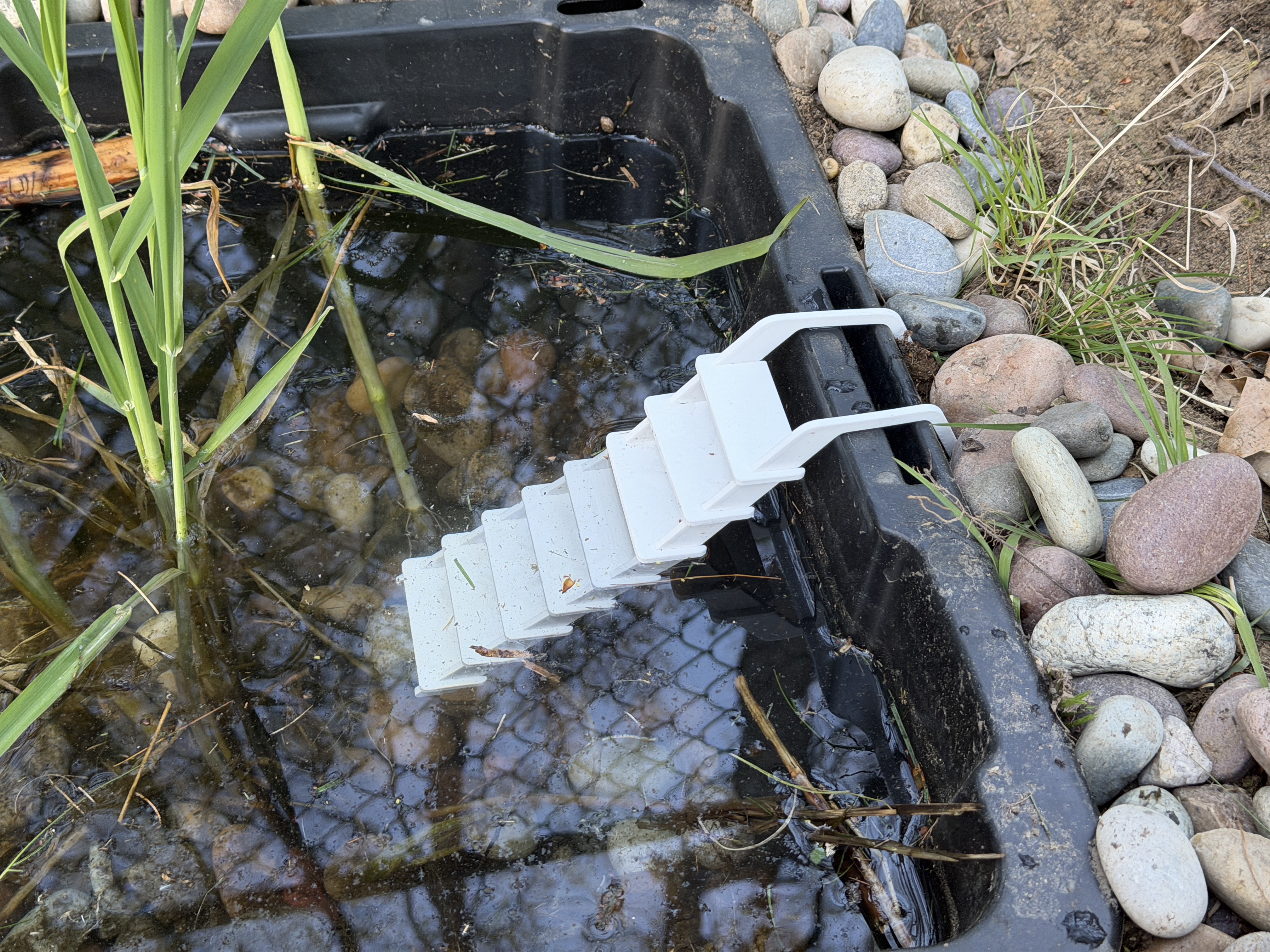 Frog Pond Ladder