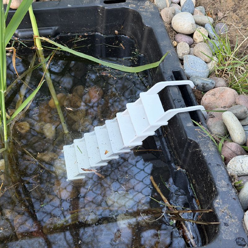 Frog Pond Ladder by fuchsr | Download free STL model | Printables.com