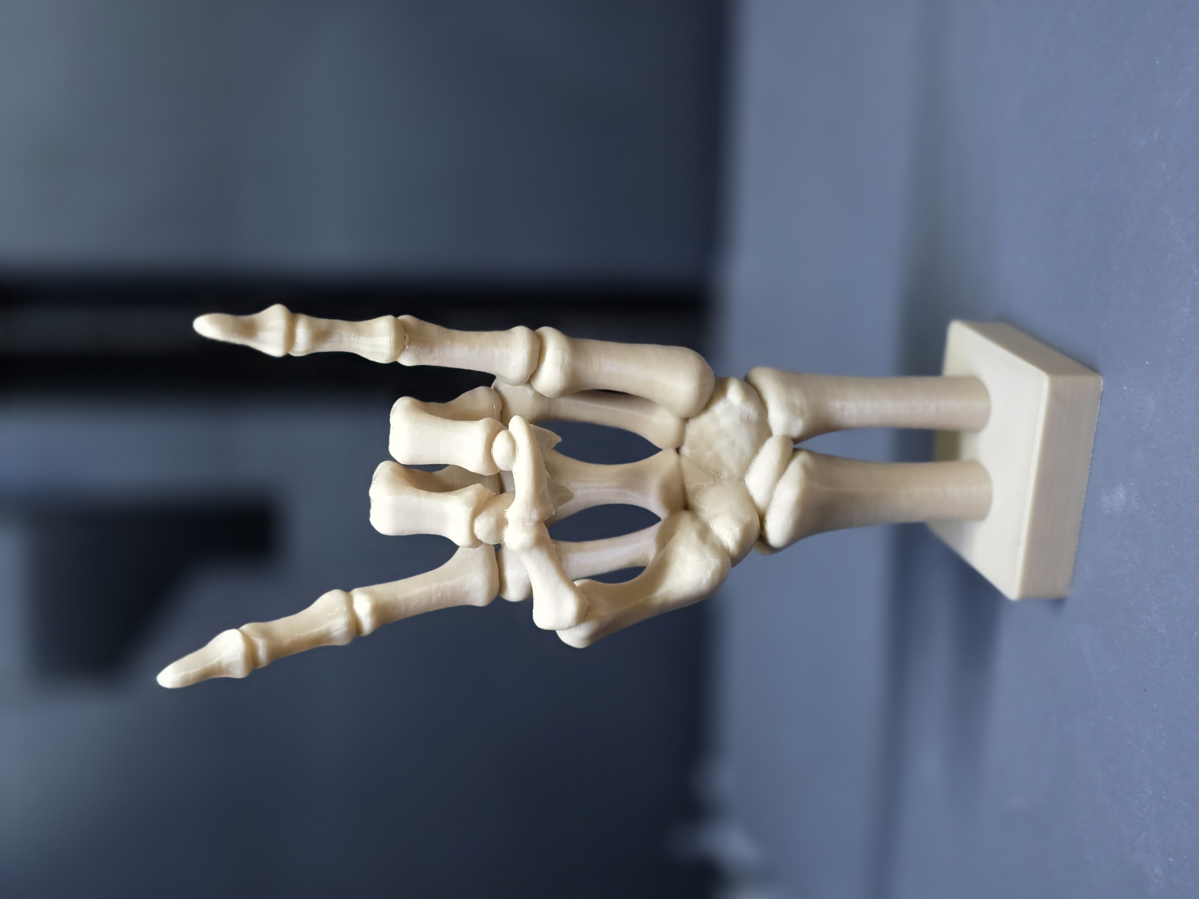 Miniatura 5 do modelo 3D Bone to Rock