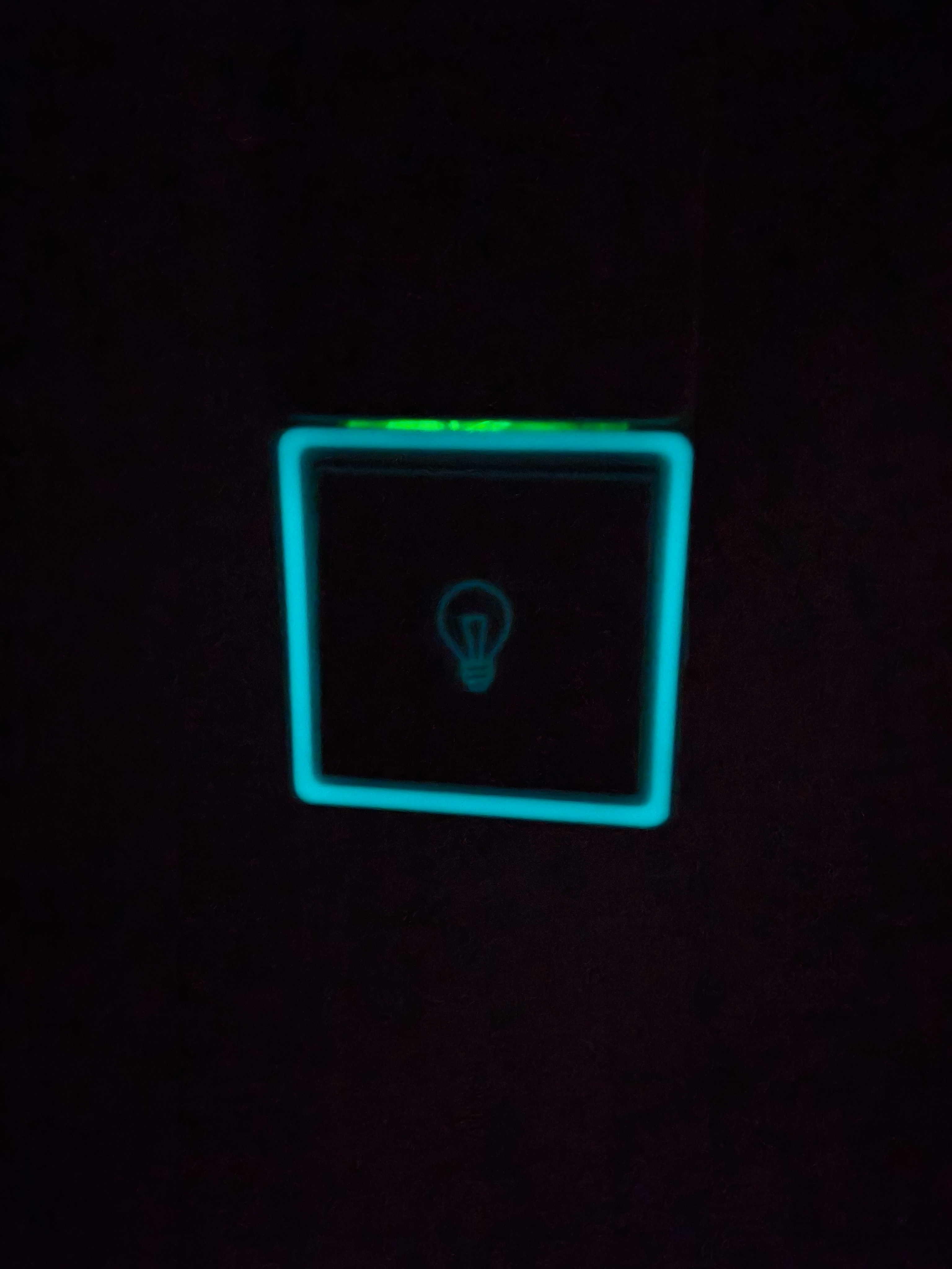 Niko switch glow in the dark frame