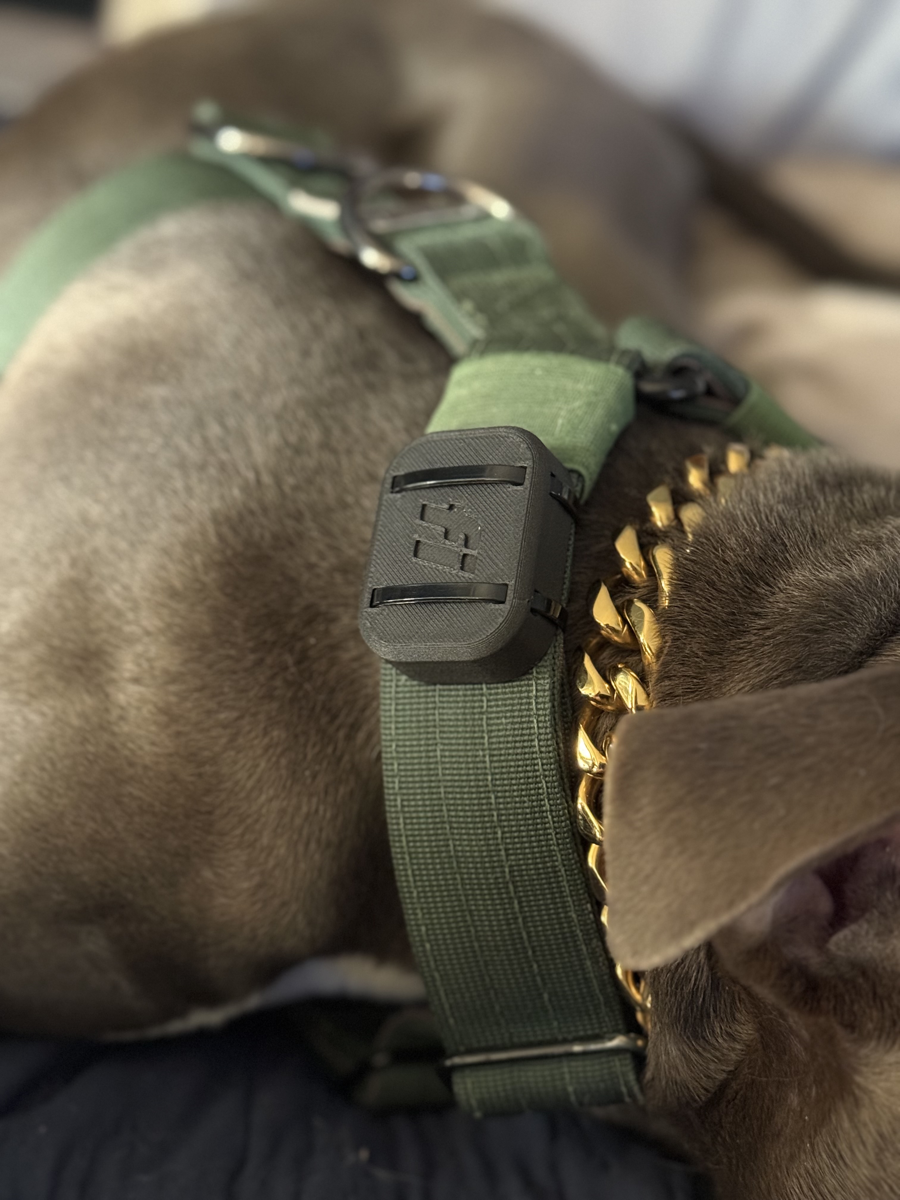 FI Mini Pet GPS Case and Collar Mount