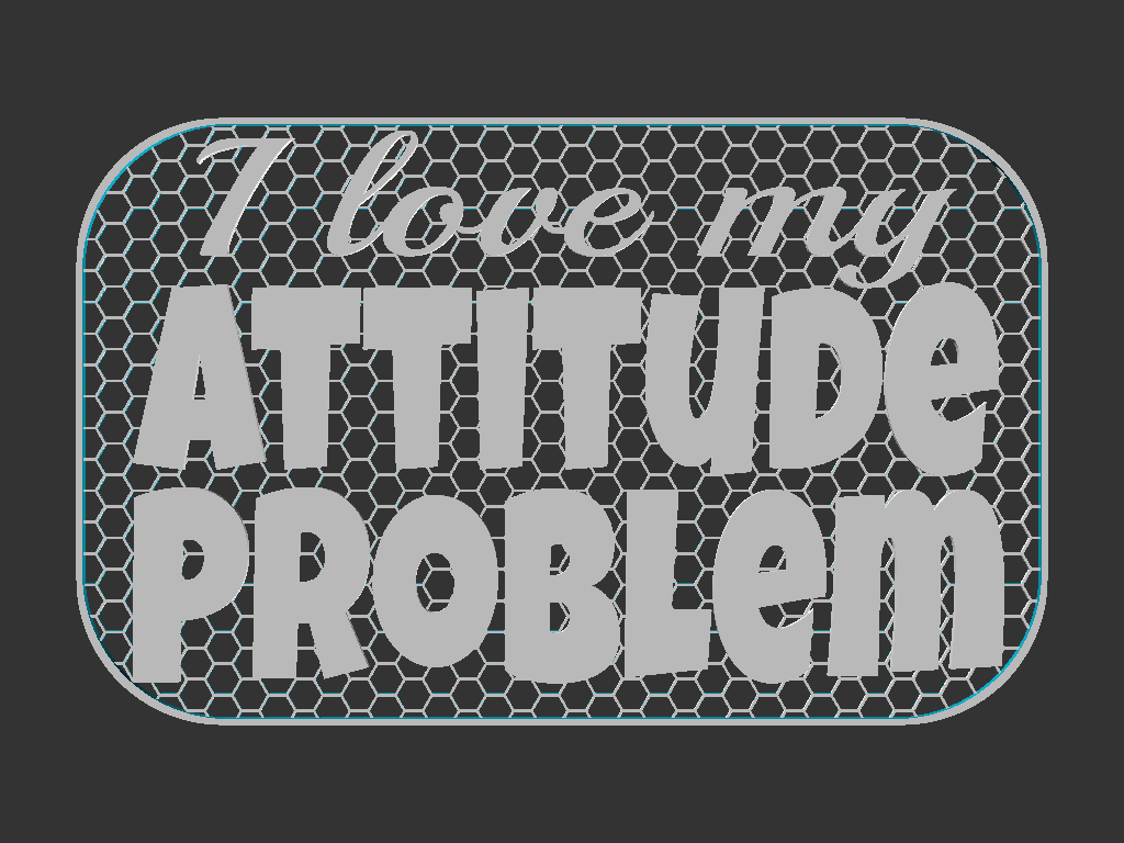 Attitude Problem sign — thumbnail 2