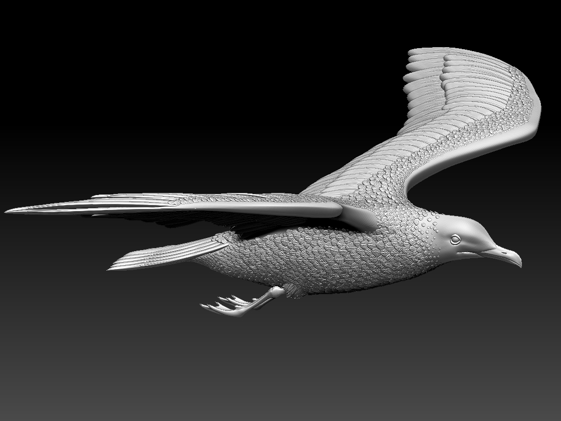 seagull — miniatura 11