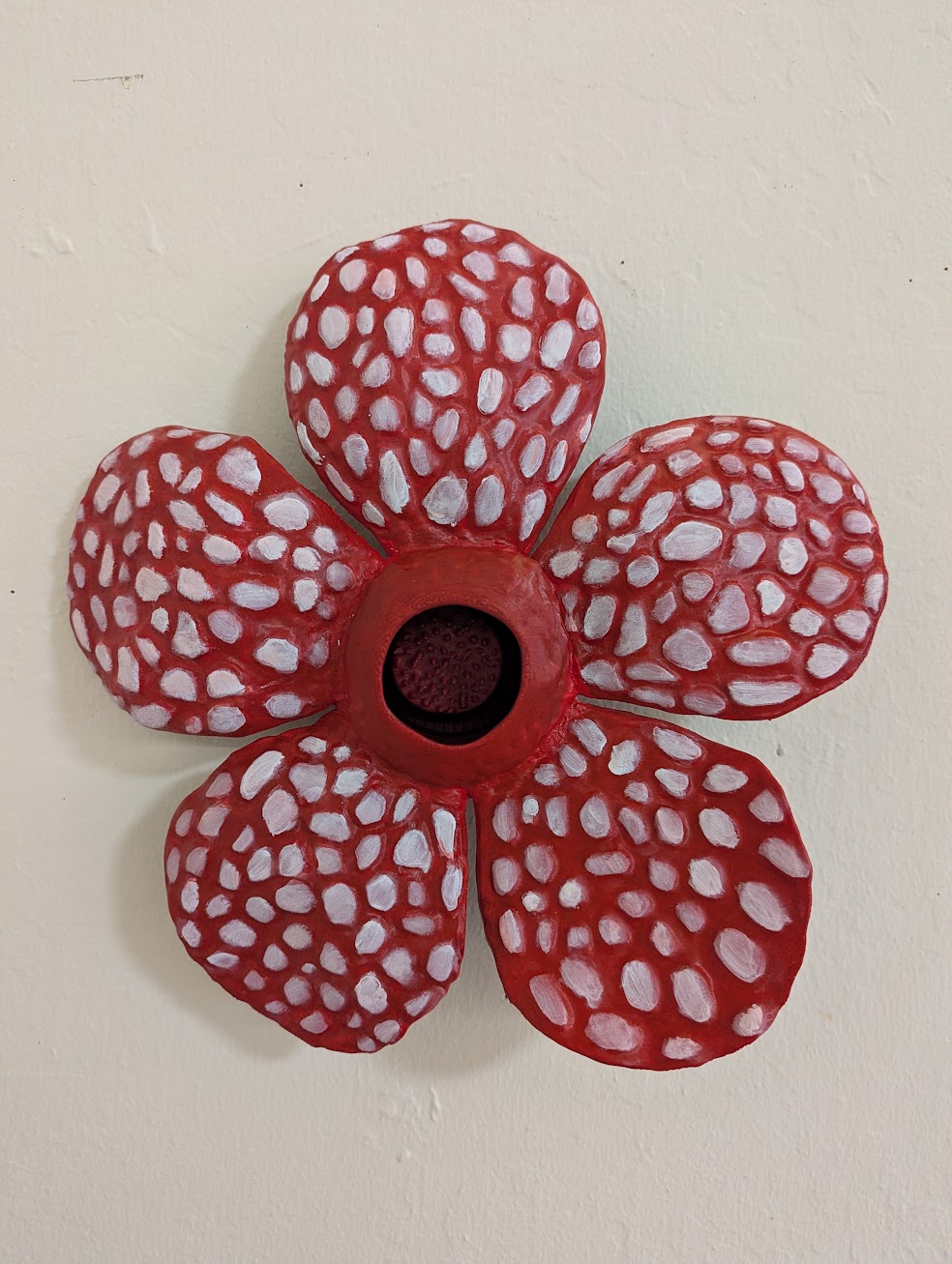 Rafflesia sp.