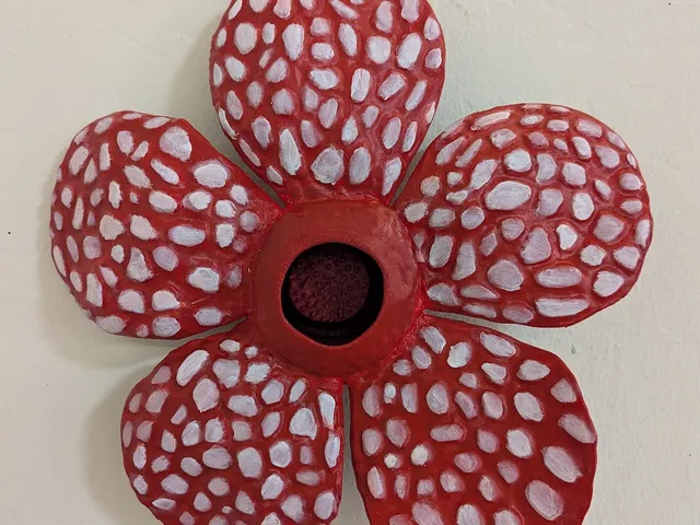 Rafflesia sp.
