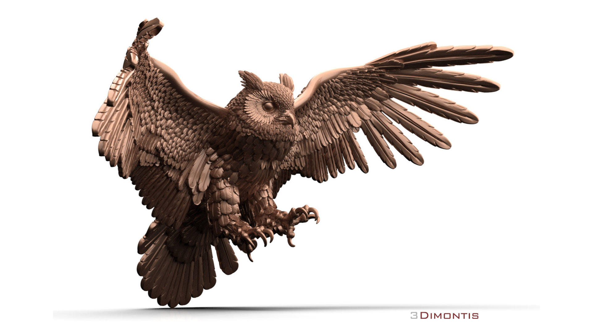 owl