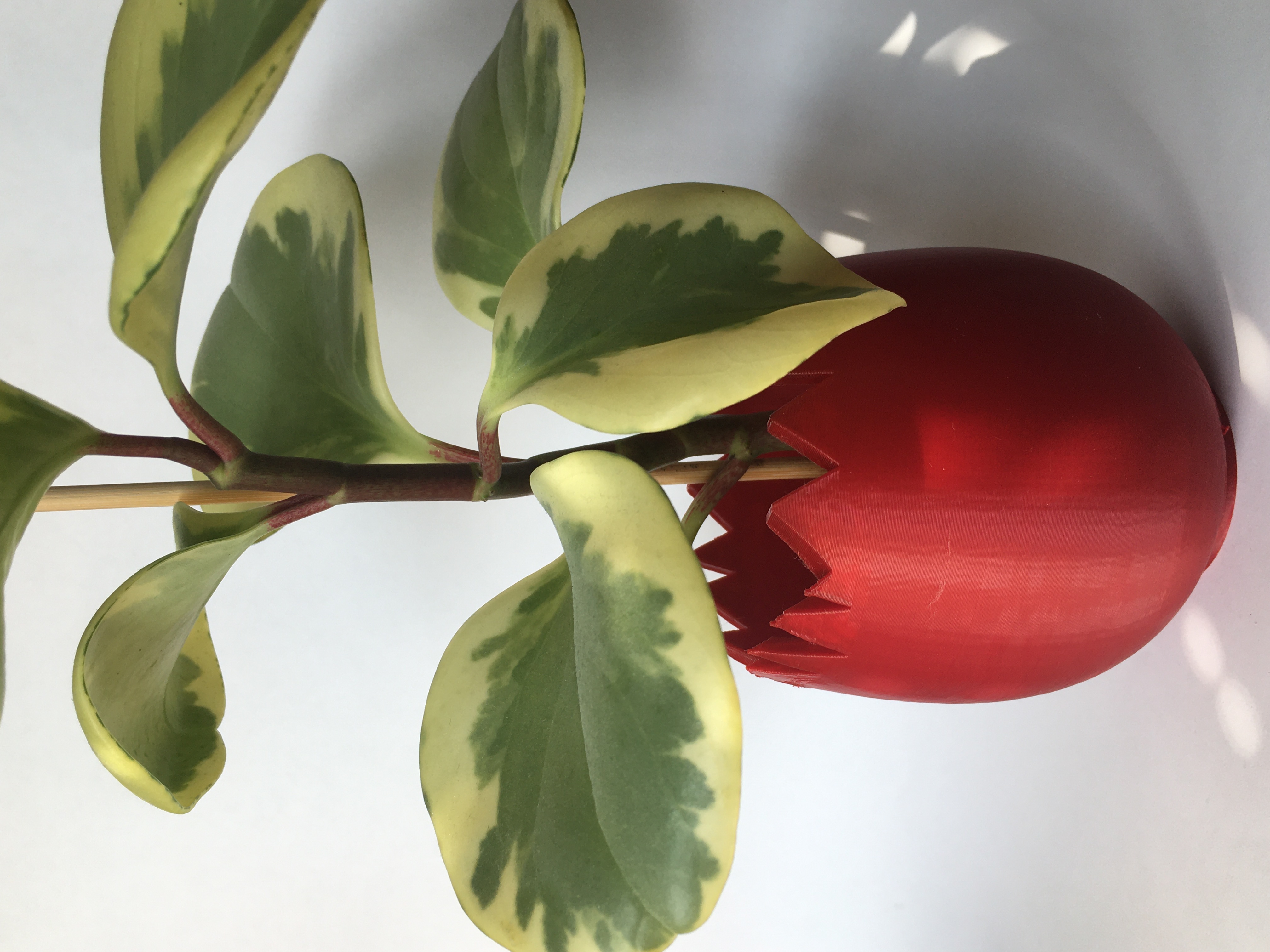 Miniatura 2 do modelo 3D Oster Ei Blumentopf