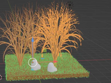 forest with boulder
