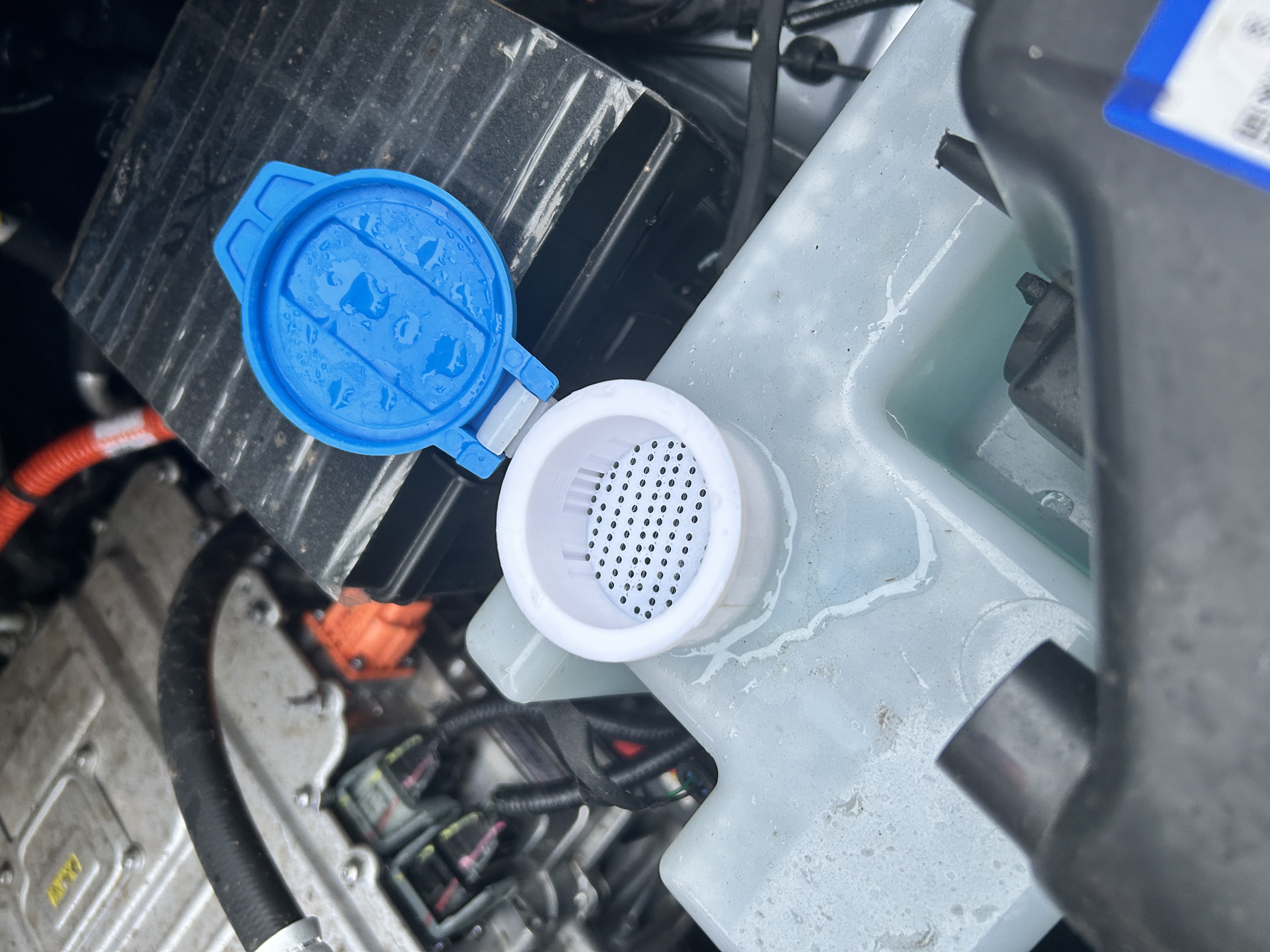 BYD Dolphin Surf Windscreen Washer Fluid Filter