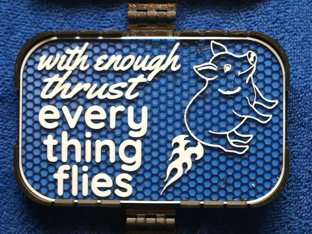 Everything Flies sign