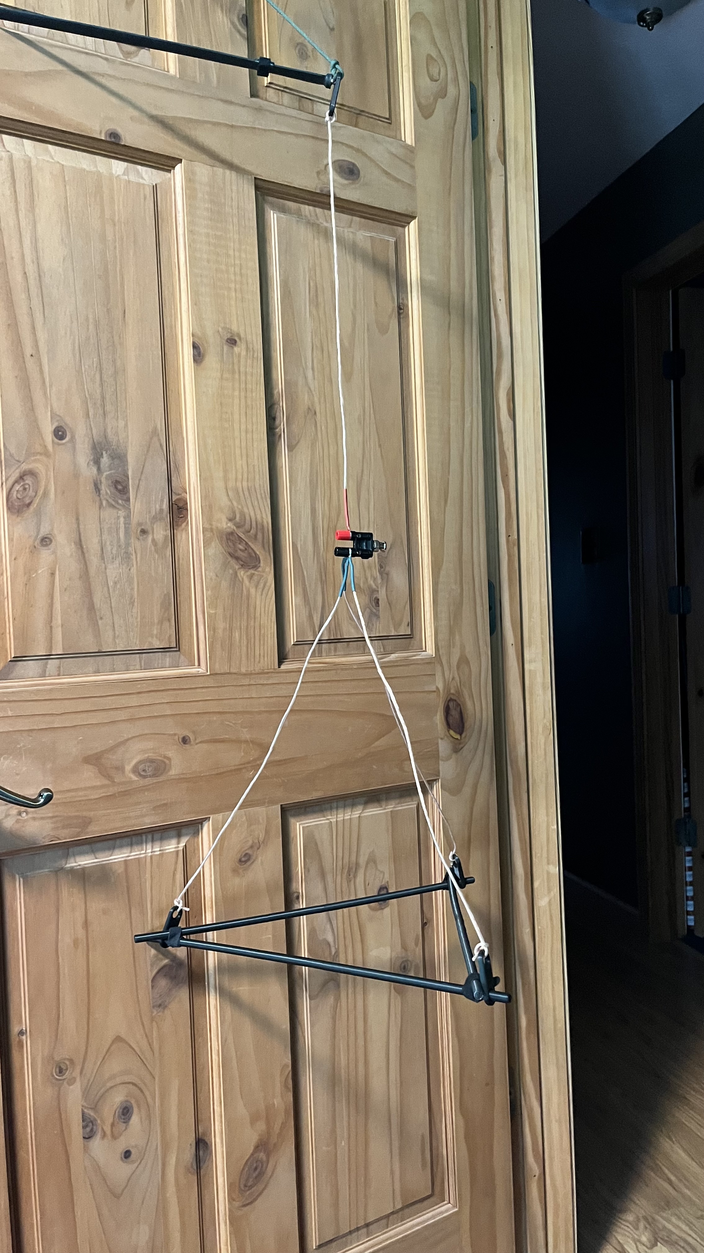 Jungle antenna Bars