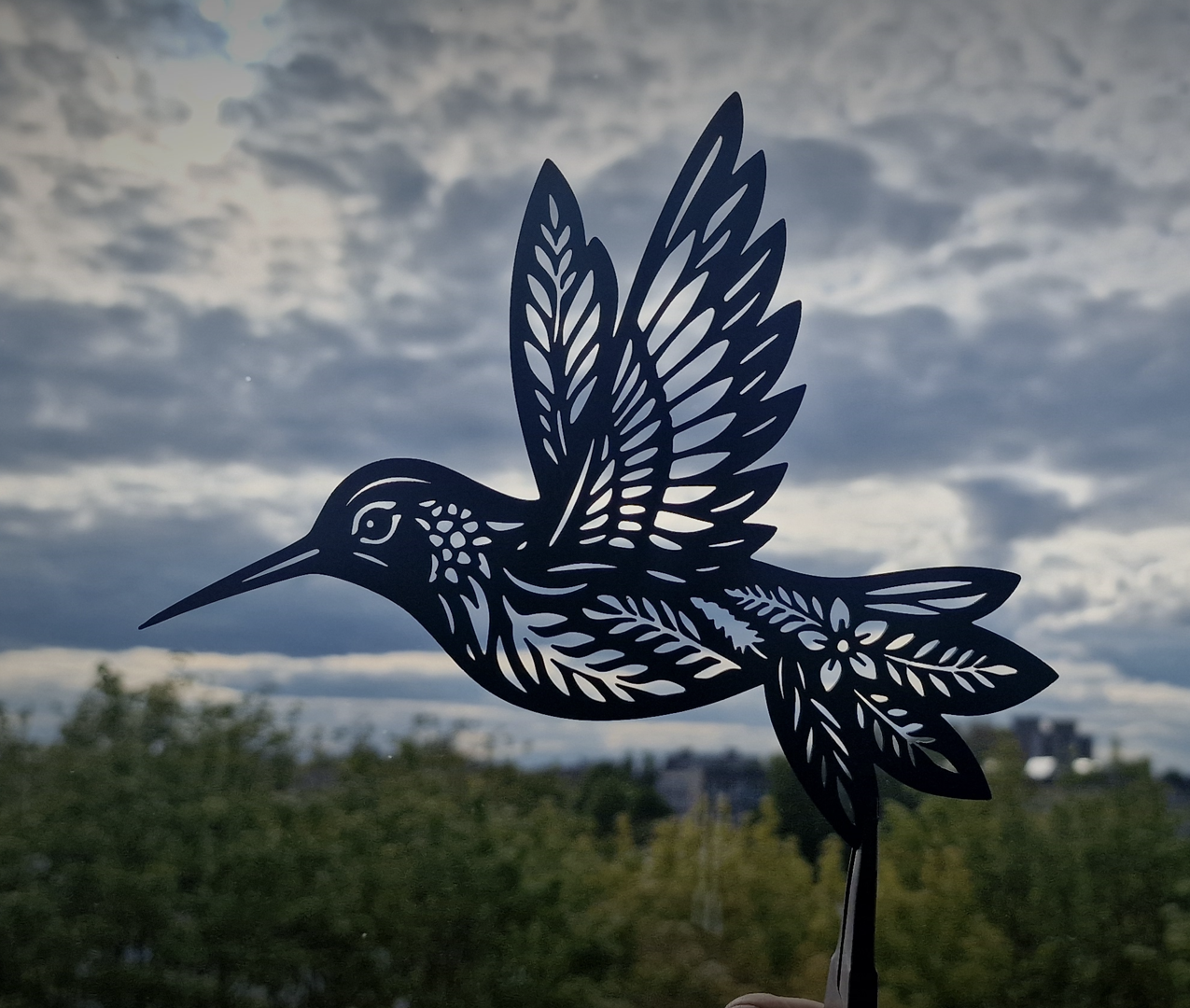 Hummingbird – the elegance of nature in motion