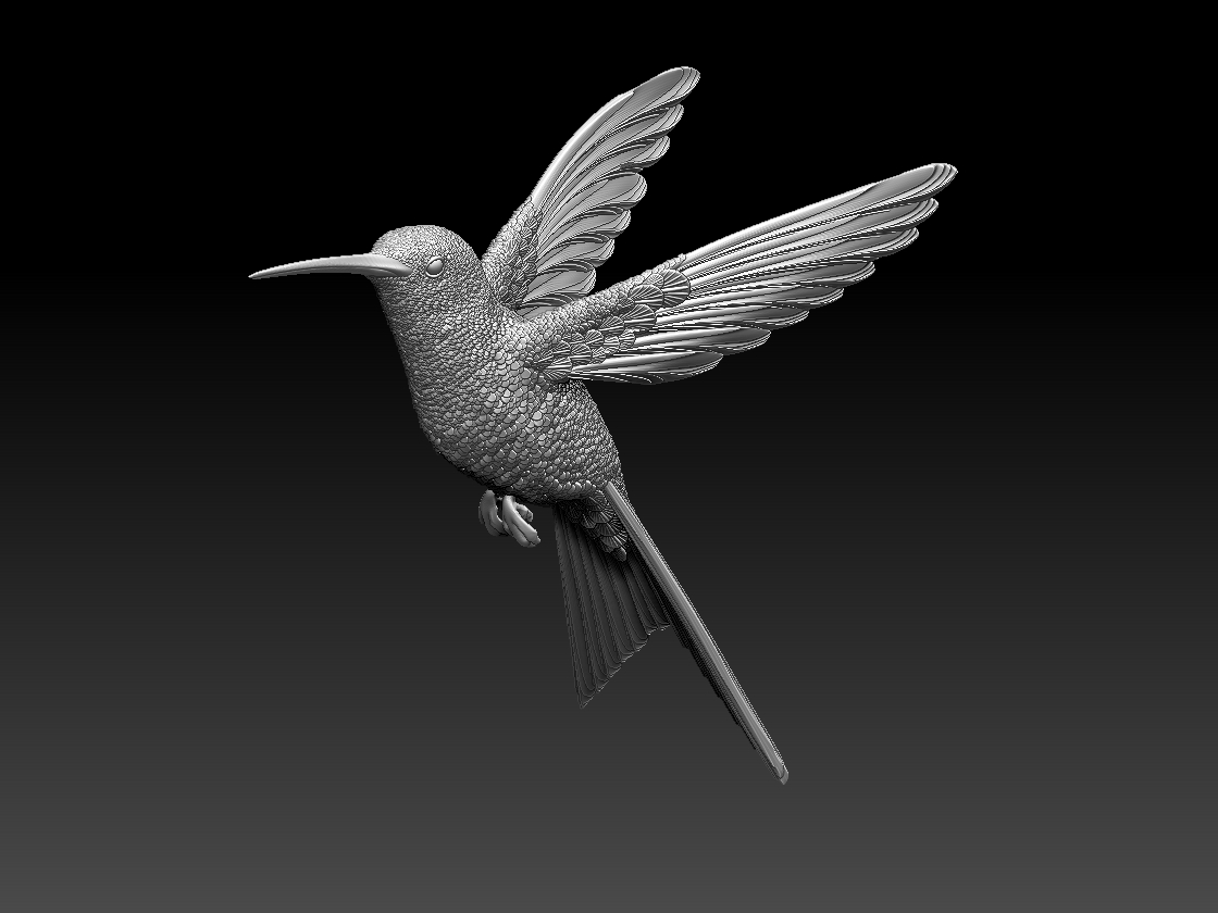 hummingbird