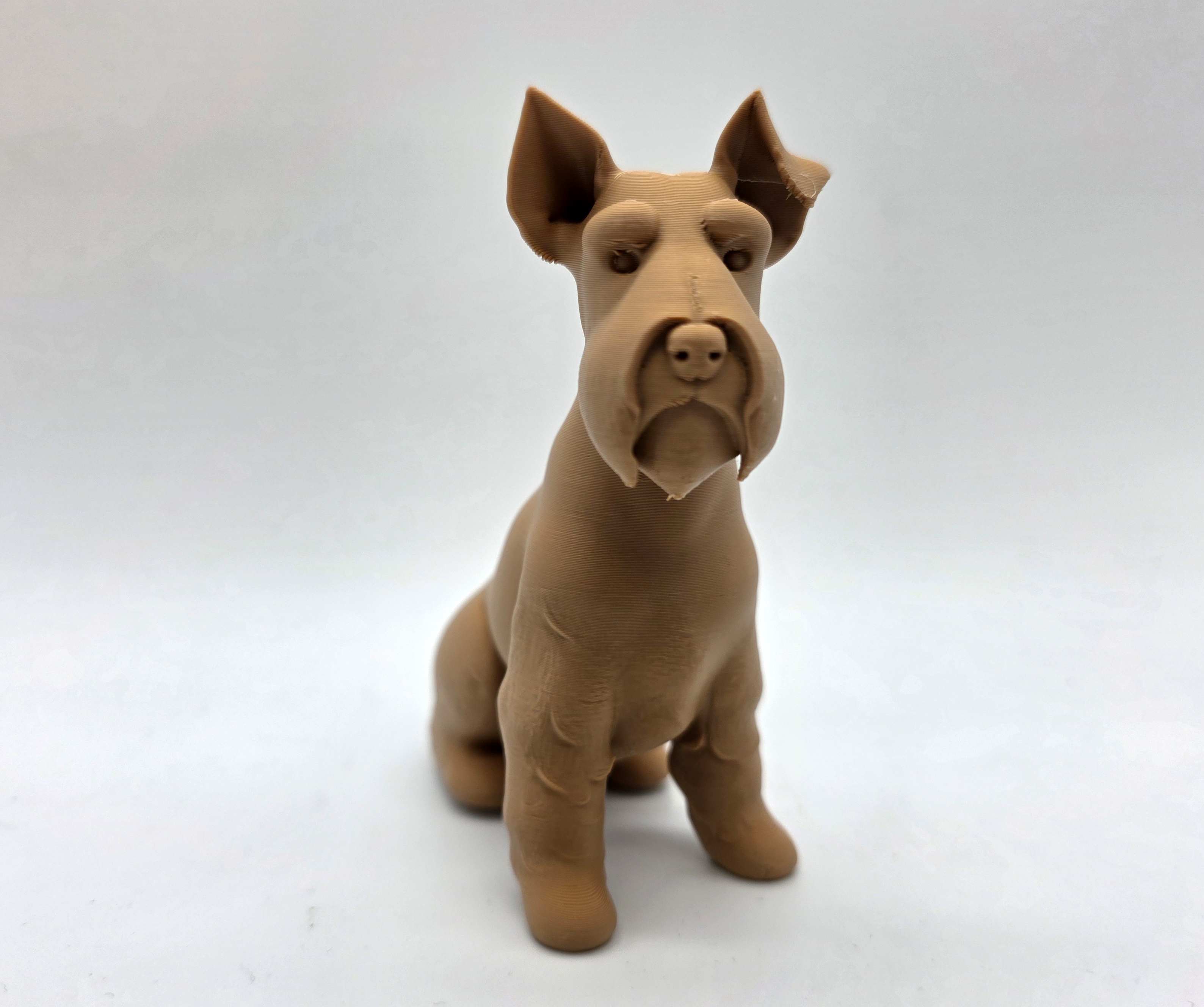 Seated French Bulldog - One ear down