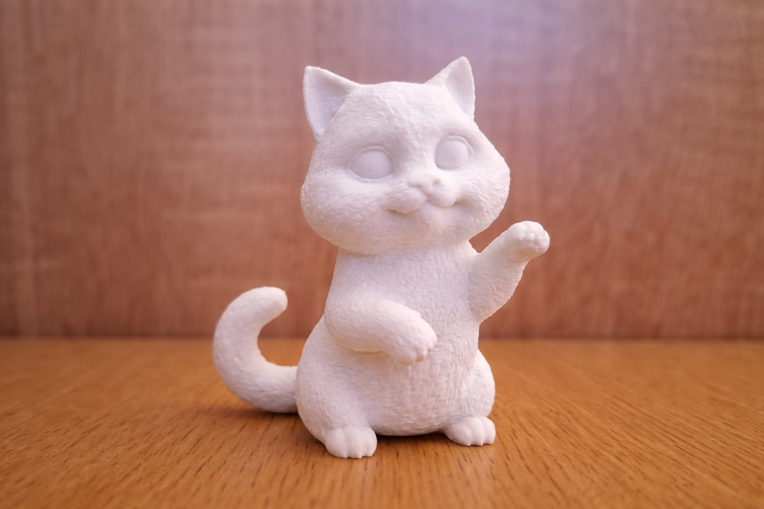 Cute Kitty