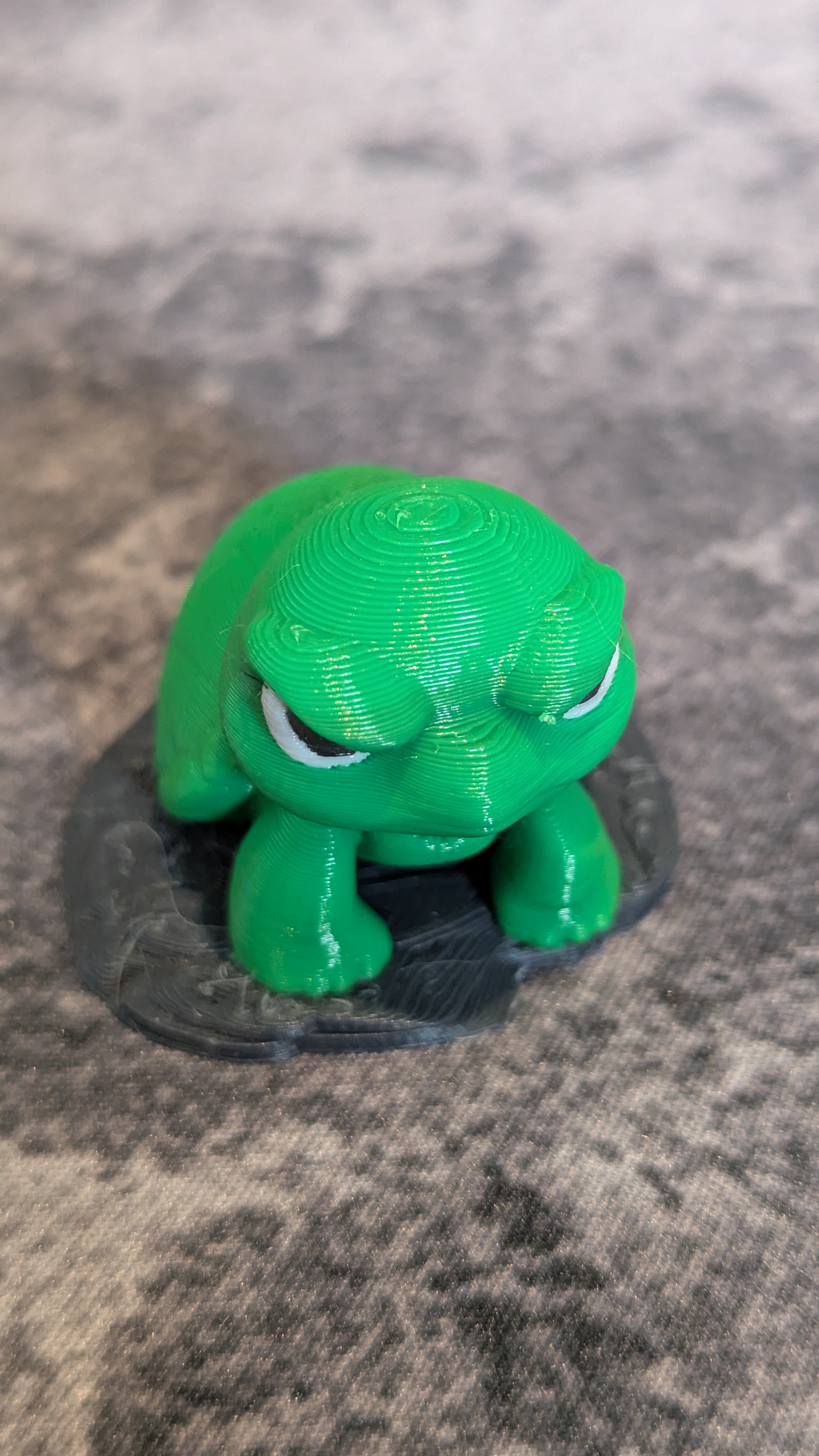 Cute grumpy turtle — miniatura 2