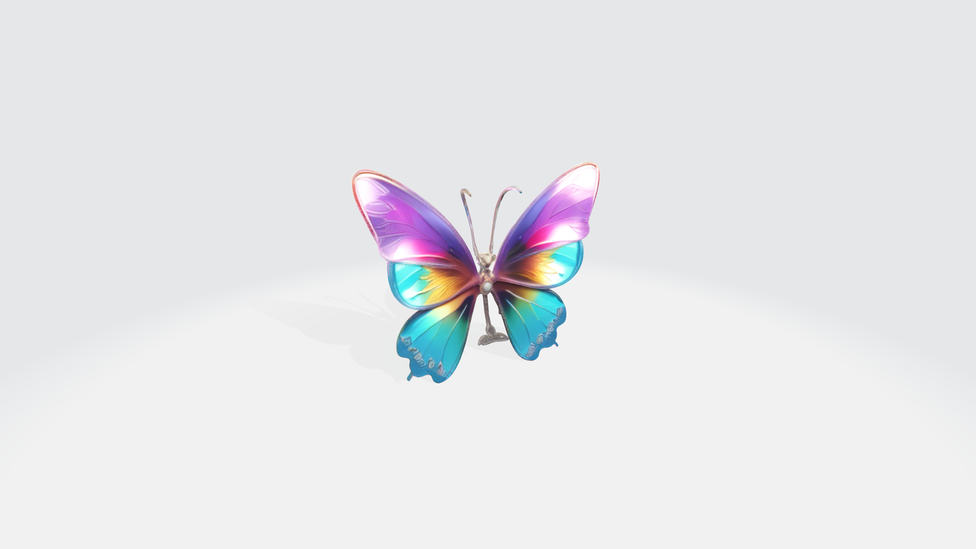 butterfly - Papillon
