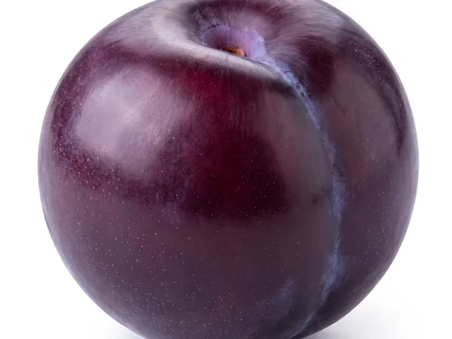 Molde para ciruela.