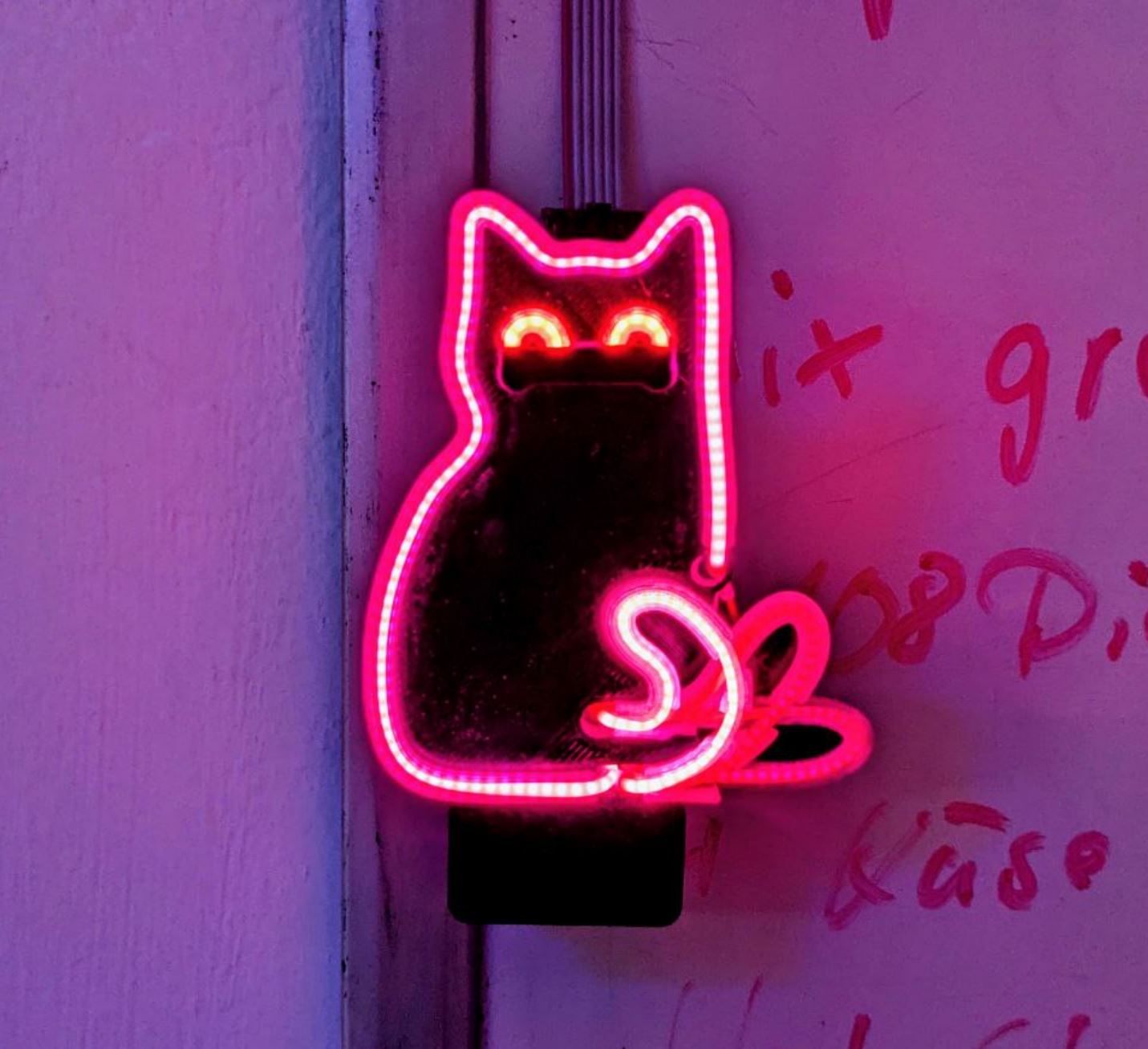 LED-Noodle animated Cat / Mini neon sign