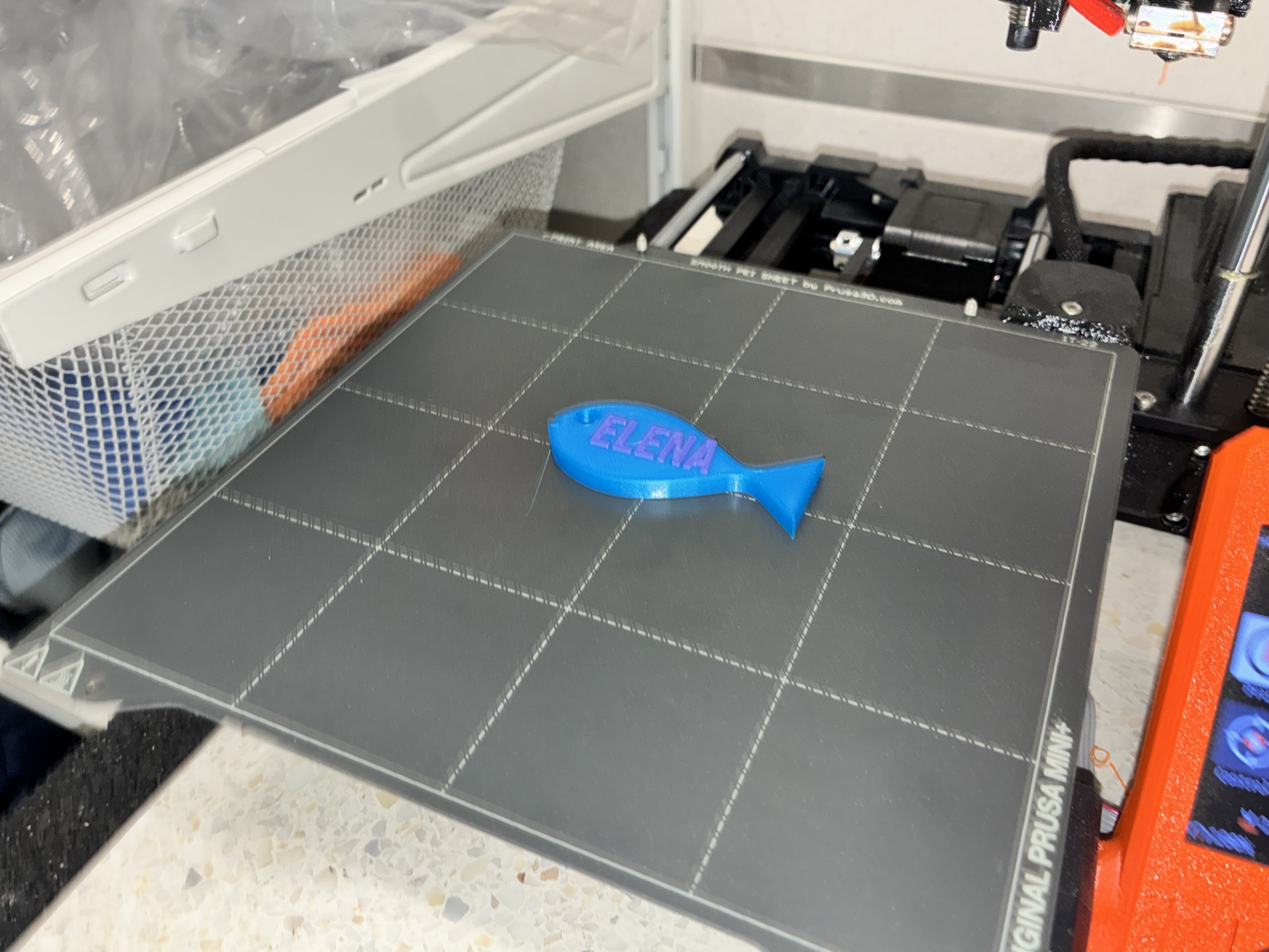 Elena Fish Keychain - Personalized Aquatic Tag & Bag Charm (No Supports, Prusa Mini Tested)