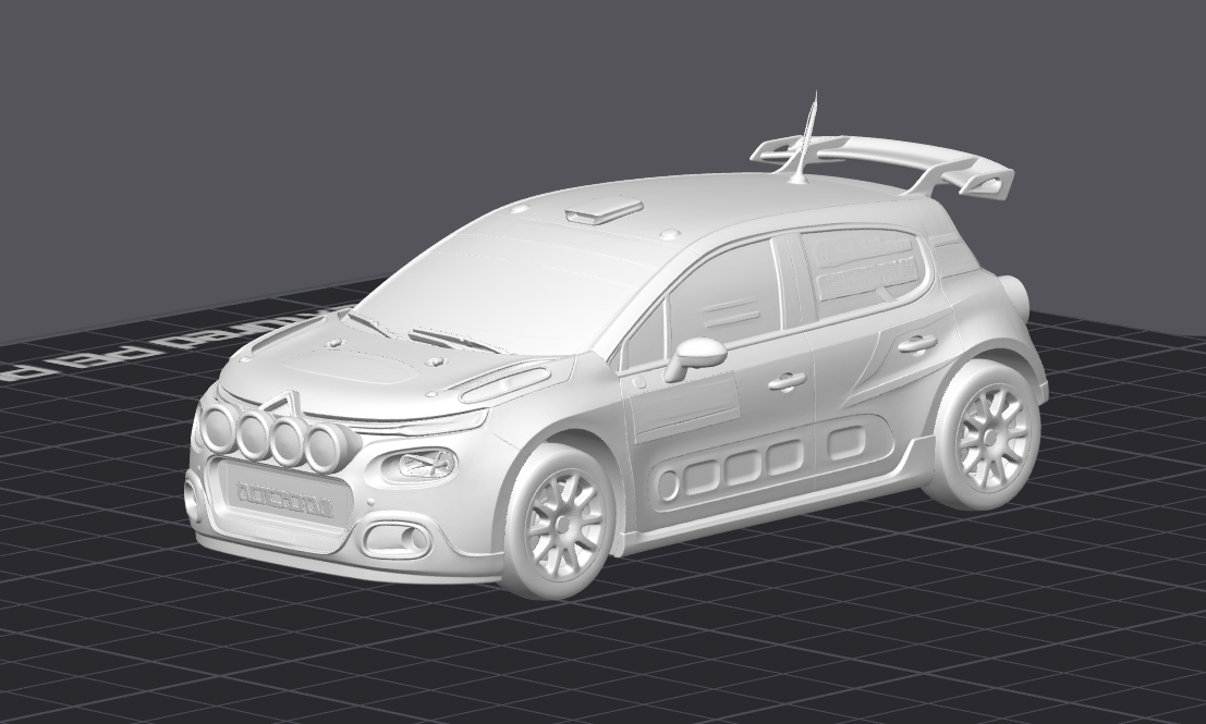 Rally závodní auto 6