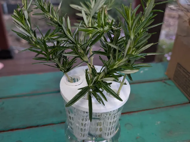 Hydropronic Propagation Cover & Net Vial (Customisable Remix)