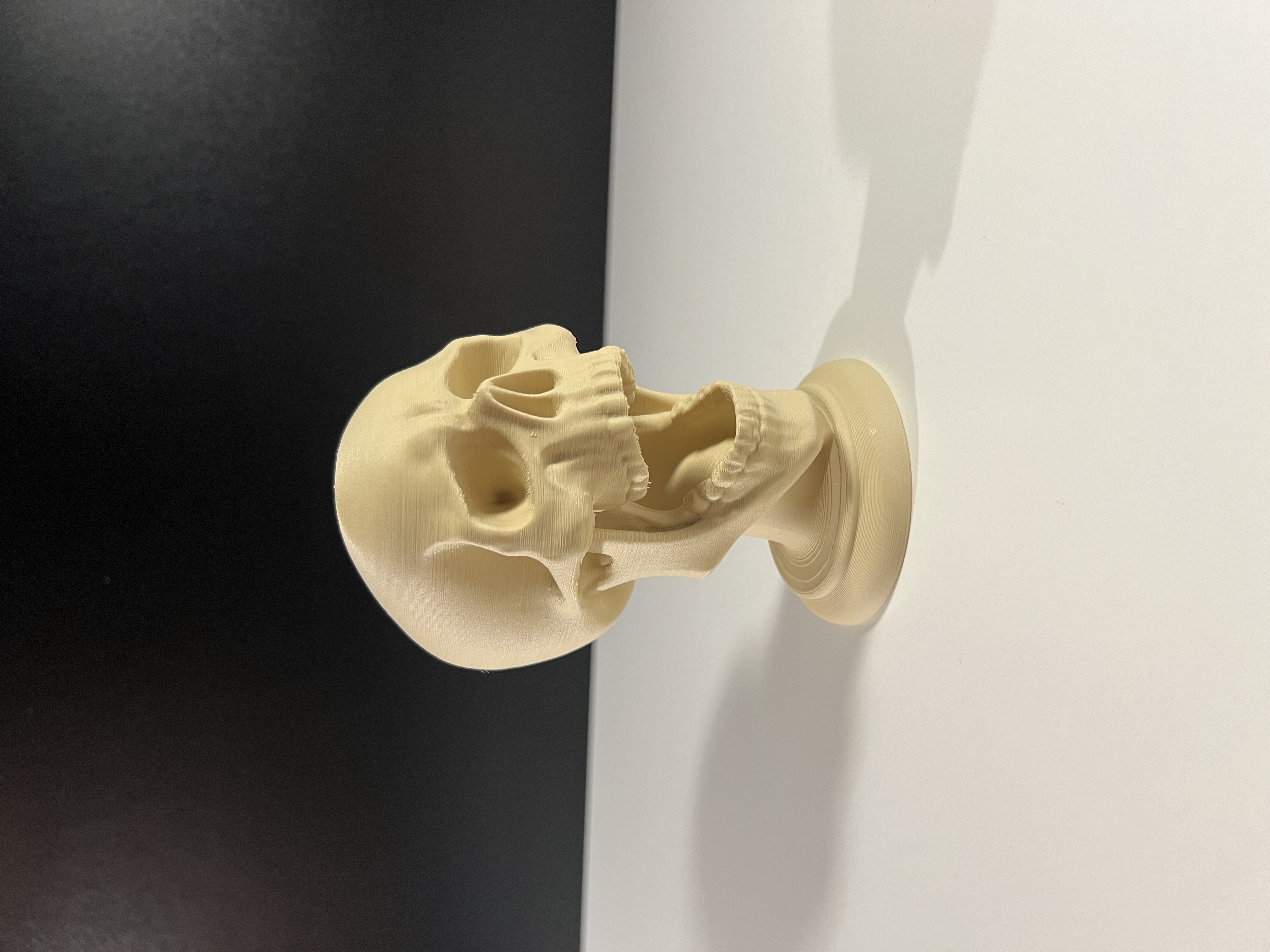 Screaming Skull — miniatura 2