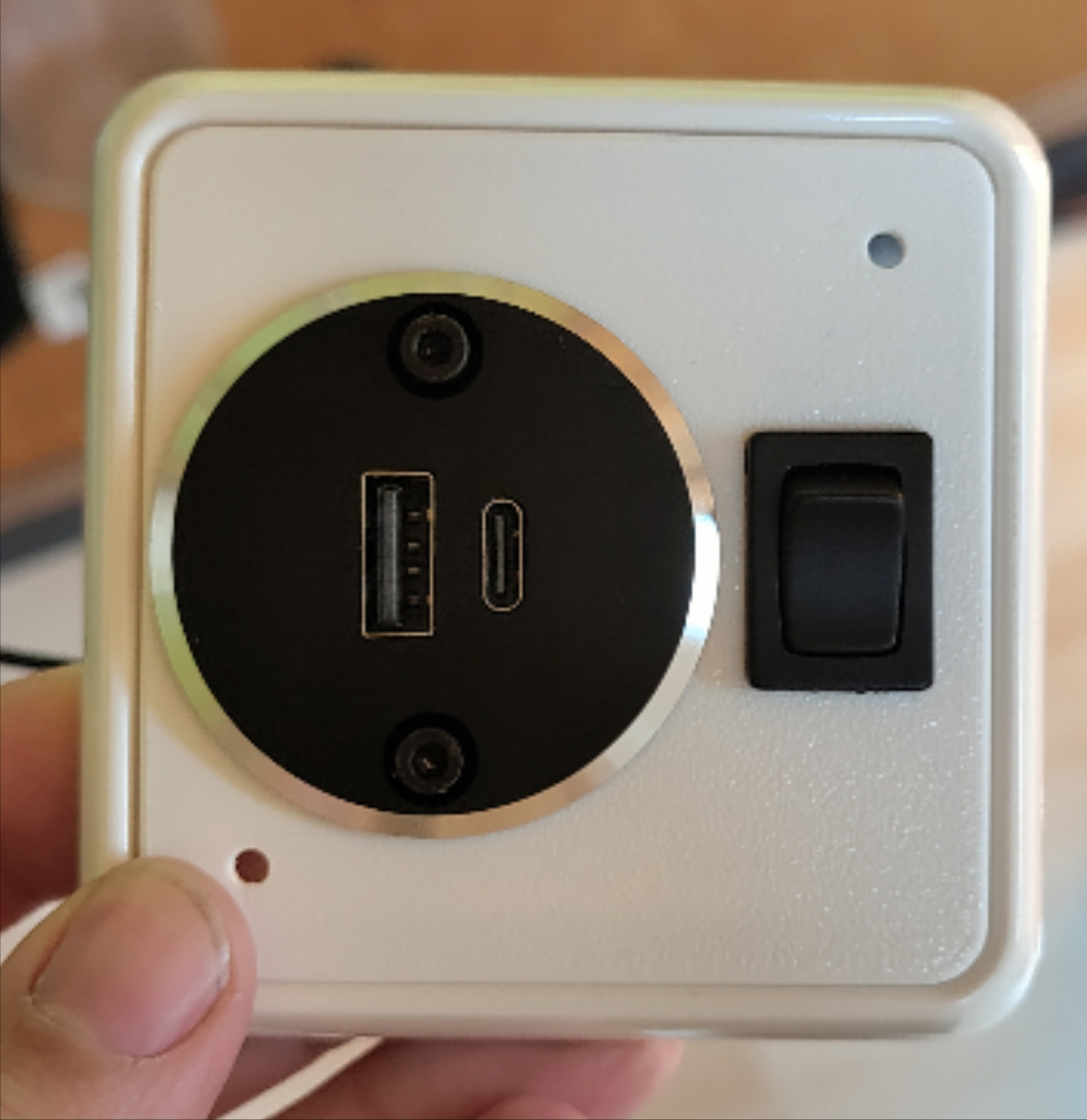 Jung Blende / Cover with two Switch / button and 24mm 12V - 24V USB Obeaming