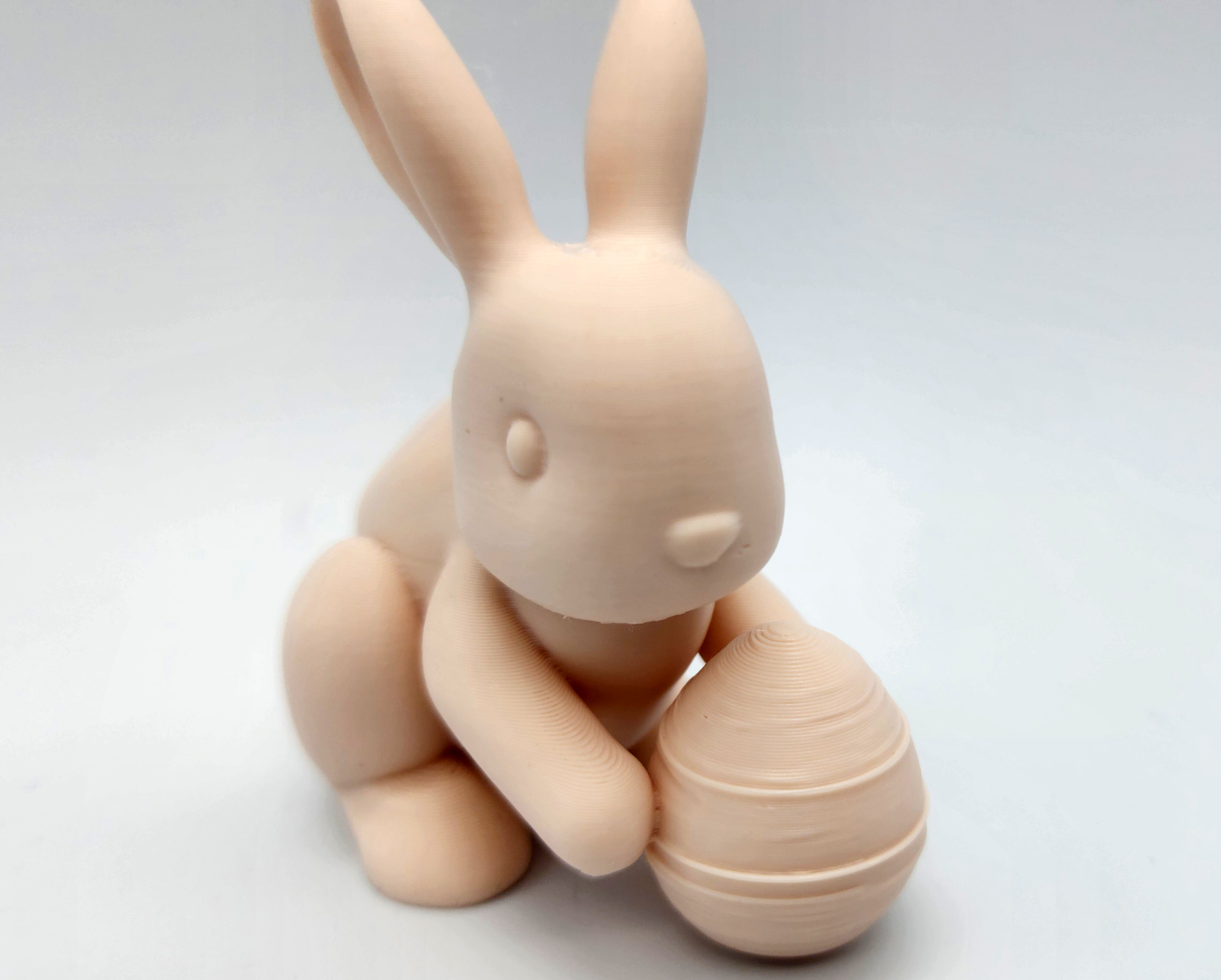 Miniatura 5 do modelo 3D Bunny with Easter Egg