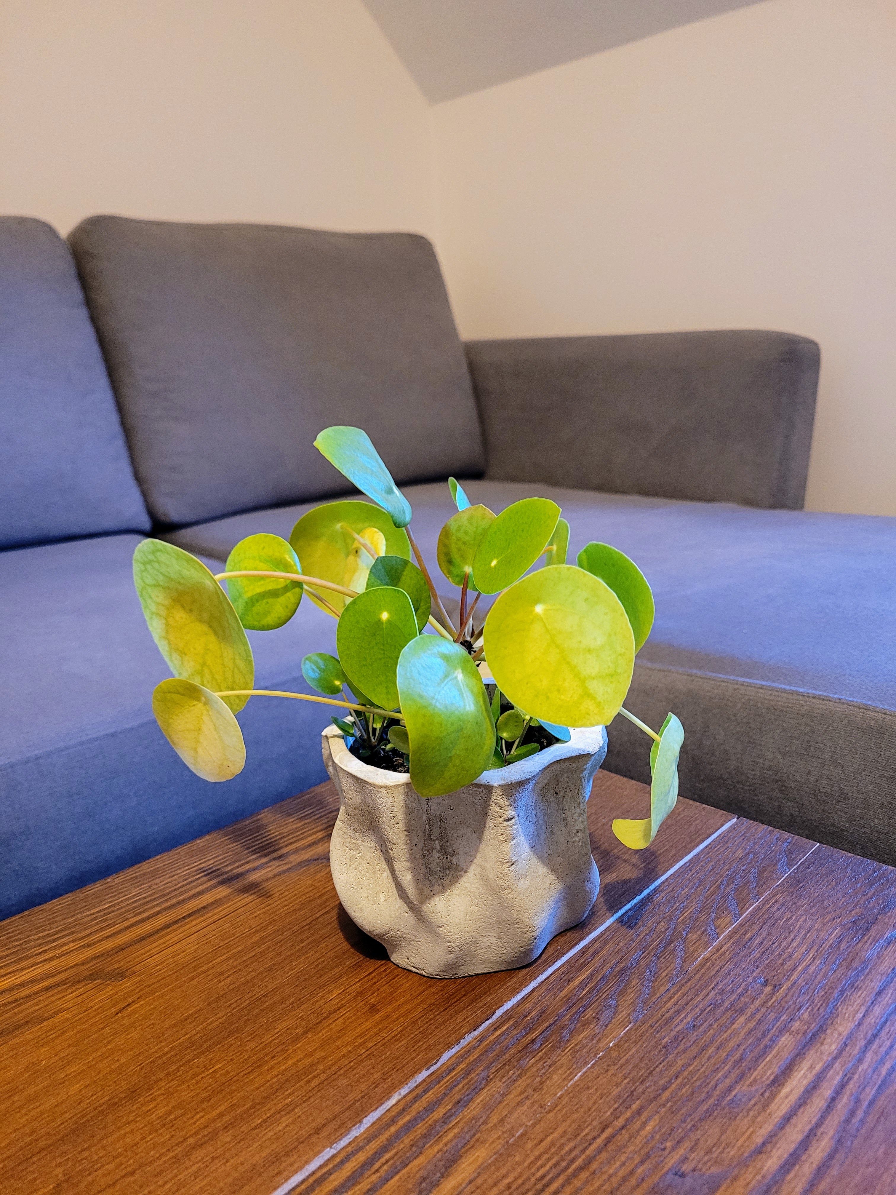 Concrete Planter Mold