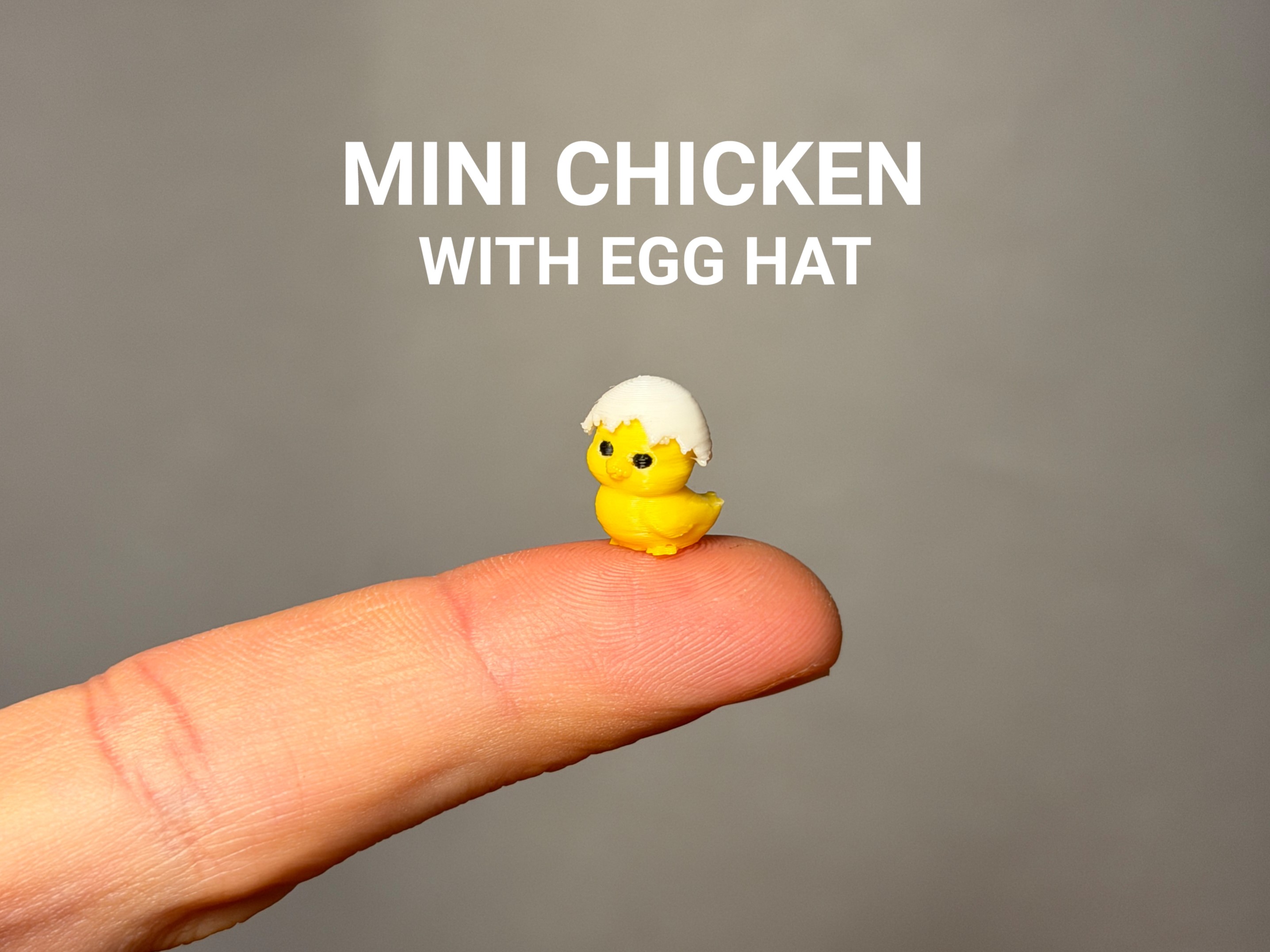 Mini Chicken with Egg Hat